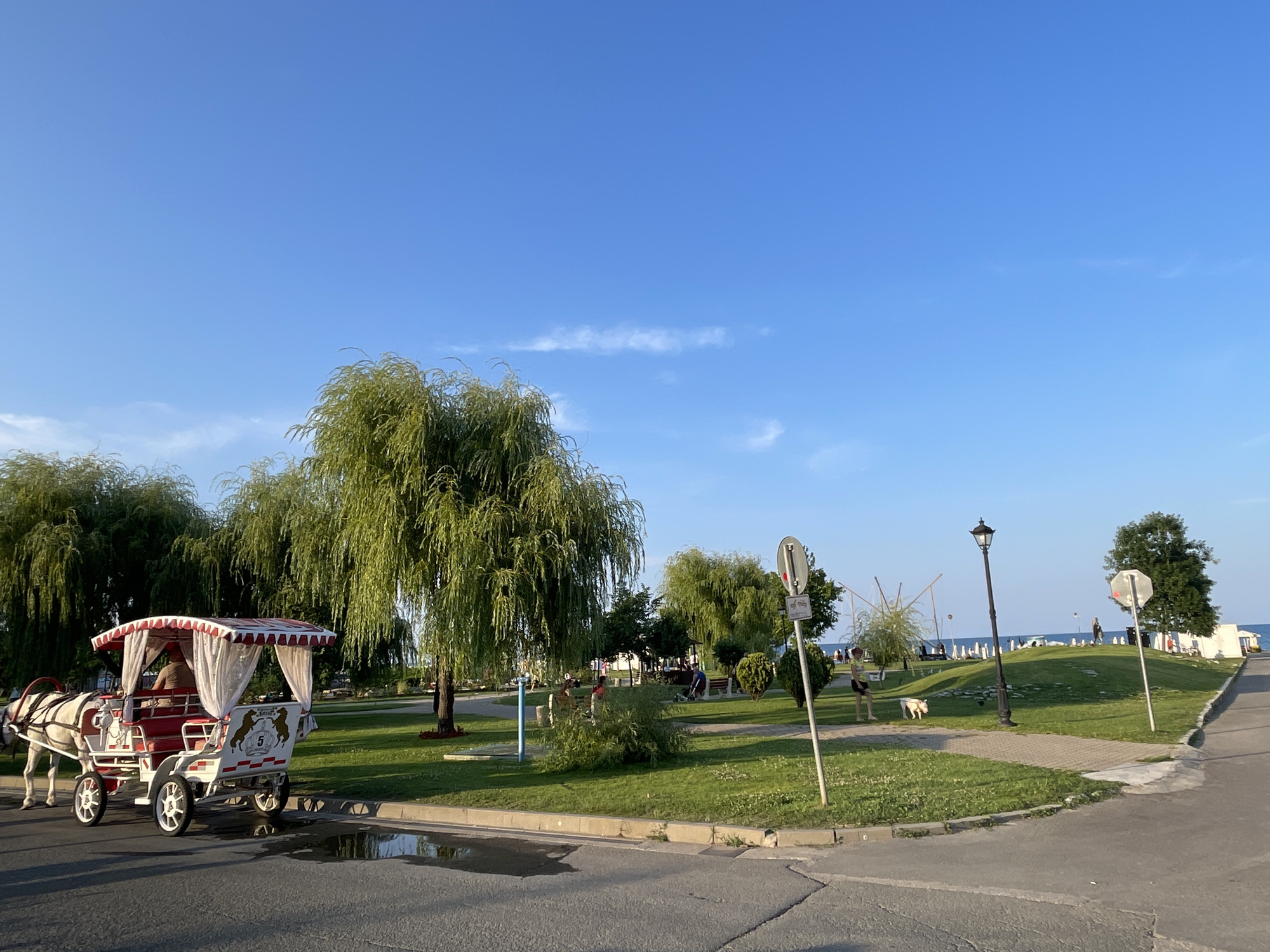 The image depicts a sunny day scene in Obzor, Bulgaria, featuring a horse-drawn carriage on a paved road. The carriage, decorated with red and white stripes and white curtains, is white with red trim and has two horses hitched to it. A person is visible seated in the carriage. Beyond the road, a grassy park area is present with several large willow trees. In the park, there are some people scattered about, including one person walking a dog. A lamppost stands in the grass, and a body of water, possibly the sea, is visible in the distance. The sky is clear blue with a few wispy clouds. The overall impression is of a serene, recreational setting.