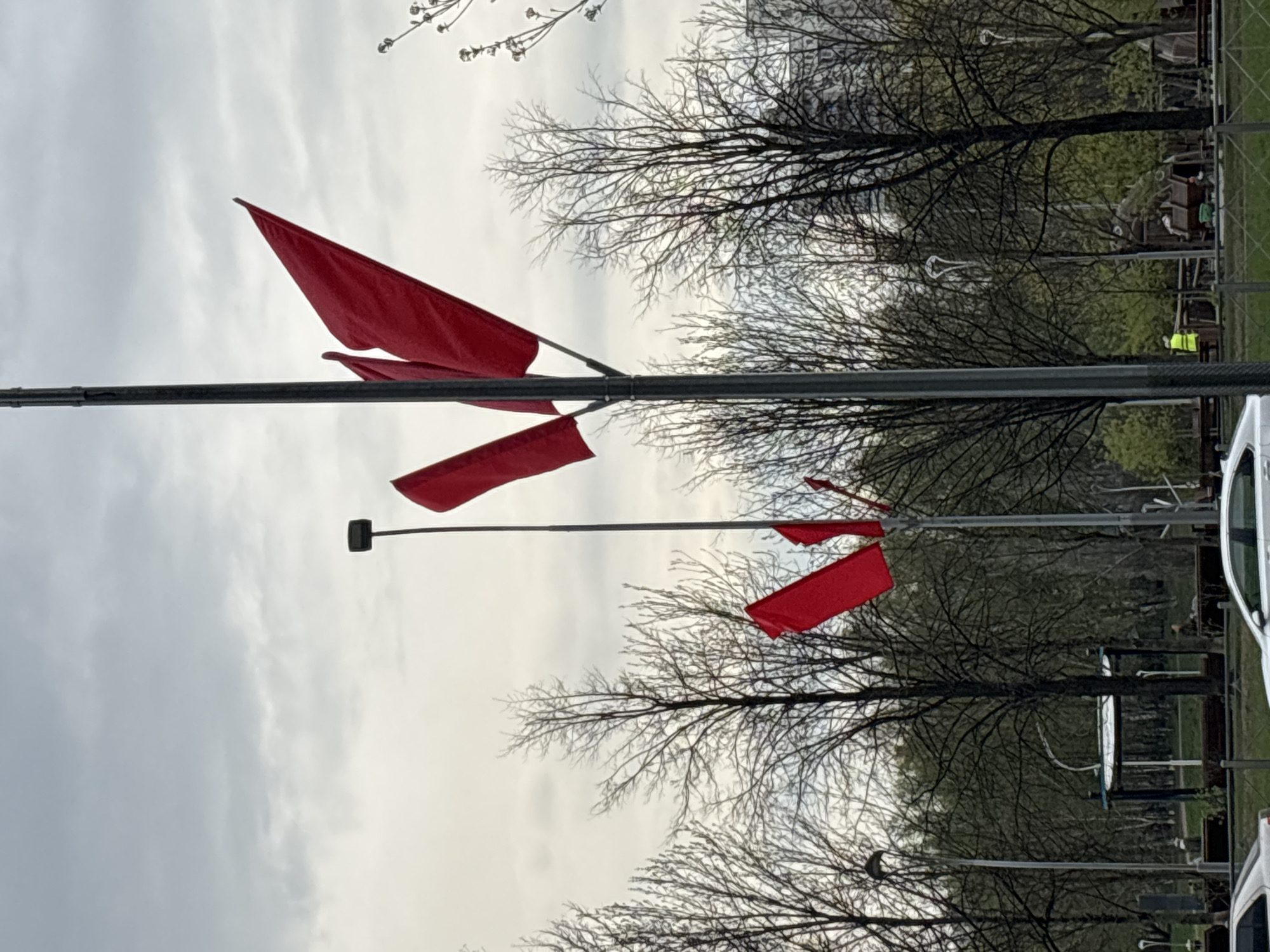 A landscape photograph captures a scene in the city of Unknown, Unknown. A metal pole runs horizontally across the frame. Attached to the pole are several small, red flags. Behind the pole and flags are bare trees with a dense network of branches. The sky is overcast. A portion of a white vehicle is visible in the lower right corner of the image. Beyond the trees is a park-like area with green grass and structures. A figure wearing a yellow vest stands among the structures.