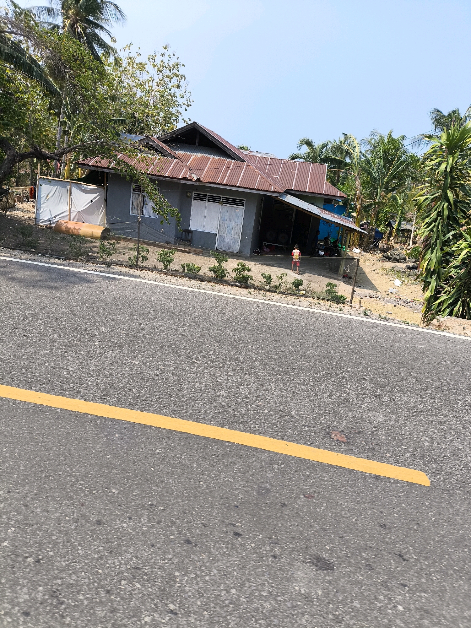 The image captures a scene along a paved road in Kwandang, Indonesia, with a house and lush vegetation on the right side. The road has a clear yellow lane marker. A modest, single-story house with a rusted corrugated metal roof stands near the road. The house appears to have gray walls and white-framed windows. In front of the house, there is a small yard with sparsely planted shrubs. To the right of the house, a variety of trees, including palm trees, are visible, creating a dense green backdrop. A child, seen from behind, is standing in the open area beside the house, near what looks like a covered or open-air section of the building. The sky is clear and bright blue. The overall impression is one of a rural or semi-rural setting in Indonesia.