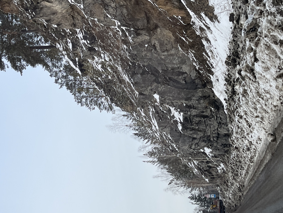 This image depicts a mountainous or hilly roadside scene in the vicinity of Слизнево, Russia, under overcast daylight conditions, likely in late winter or early spring. The dominant feature is a steep, grey, fractured rock face, resembling a cliff, occupying the right and central portions of the frame. Patches of white snow cling to ledges and crevices on the rock face. Numerous coniferous trees, primarily pines, grow sparsely on the upper sections and ledges of the cliff, some bearing snow. To the left, a cluster of bare-branched deciduous trees, possibly birches, stands closer to the road.
In the foreground, a dark, presumably wet asphalt road runs from the lower left towards the center. Along the right edge of the road, a significant accumulation of dirty, melting snow, slush, and earth debris forms a dense, uneven bank extending towards the base of the rock face.
On the far left side of the road, partially obscured by the terrain, a large commercial truck with a red cab is visible. It is transporting a yellow or orange excavator on its flatbed. Behind the truck, a triangular road warning sign with a red border and white background is discernible. No individuals are visible within the scene. The sky above is uniformly light grey or pale blue, indicating an overcast condition.