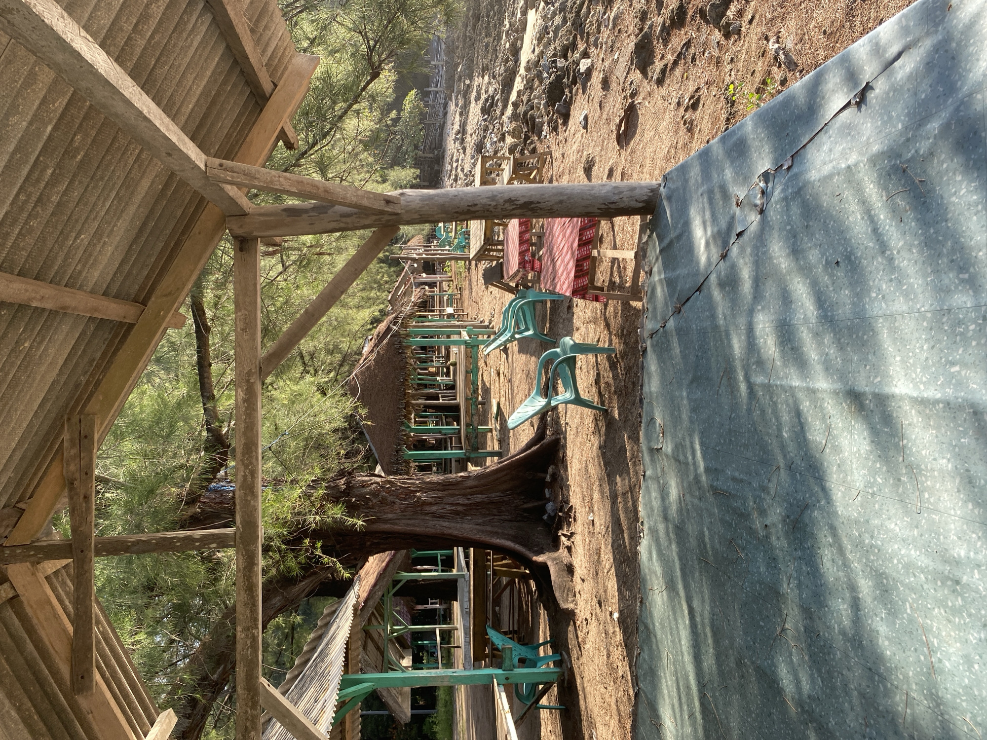 The image depicts an outdoor seating area at what appears to be a beachfront establishment in Monikeun, Indonesia. In the foreground, a weathered, teal-colored surface, possibly a tarp or a concrete slab, is covered with shadows and scattered pine needles. Beyond this, a cluster of rustic, open-air shelters with thatched roofs and wooden structures are visible, providing shade. Several teal plastic chairs are positioned around wooden tables. One table is adorned with a red and white checkered tablecloth. The ground is sandy and littered with fallen pine needles and small rocks. A large, mature tree with a thick trunk stands prominently among the shelters. In the background, a rocky shoreline meets calm water, and dense foliage lines the area. The scene suggests a tranquil, slightly weathered, beachside dining or relaxation spot. No people are present in the image.