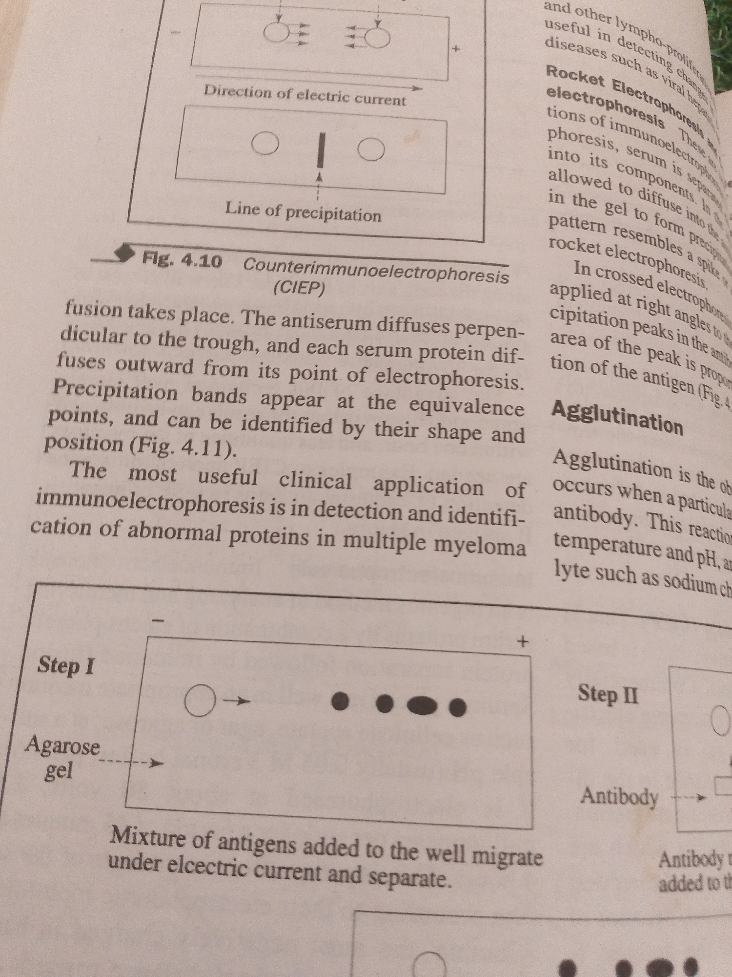 The image displays a page from a textbook or scientific publication, likely related to immunology or biochemistry. The primary subject matter is a scientific diagram illustrating the process of Counterimmunoelectrophoresis (CIEP) and related techniques like Rocket Electrophoresis and Agglutination.
The diagram shows two main steps of CIEP. Step I depicts an agarose gel with a mixture of antigens being subjected to electric current, causing them to migrate and separate. The text labels this as "Agarose gel" and indicates the migration direction. Step II illustrates the addition of an antibody to a trough in the gel, which then diffuses and reacts with the separated antigens to form precipitation bands. The diagram also includes illustrations and text describing "Rocket Electrophoresis" and "Agglutination."
The accompanying text provides explanations for these techniques, including the direction of electric current, line of precipitation, and the principles behind agglutination. Visible text includes titles like "Fig. 4.10 Counterimmunoelectrophoresis (CIEP)", "Rocket Electrophoresis", and "Agglutination", along with descriptive paragraphs detailing the processes. The overall scene is that of an educational resource, with clear, labeled diagrams and explanatory text, suggesting it's used for learning or reference. There are no people, specific time of day, weather, or location cues beyond the context of scientific illustration. The emotions conveyed are neutral and informative, typical of scientific material.