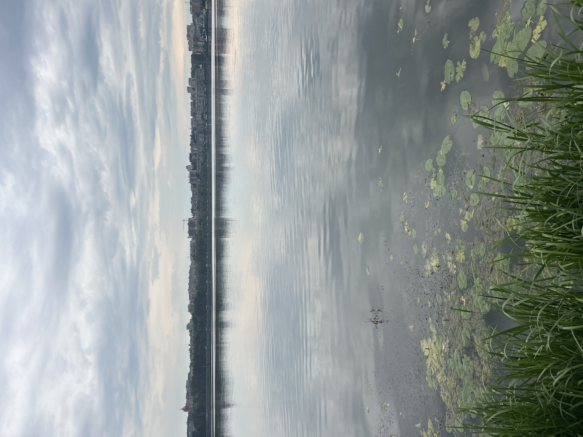 The image depicts a wide, calm river reflecting an overcast sky and a distant city skyline. In the foreground, lush green reeds and lily pads grow along the water's edge. The city, likely Ternopil, Ukraine, is characterized by a row of buildings of varying heights and architectural styles, interspersed with trees. The water surface shows gentle ripples, and the overall atmosphere is subdued, suggesting a cloudy day.