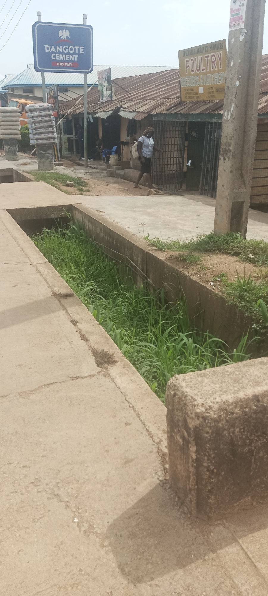 The image depicts a street scene in Bukuru, Nigeria. In the foreground, a concrete drainage channel filled with tall green grass runs along a paved walkway. To the left, stacks of cement bags are visible. Further down the street, a blue sign with a white eagle logo reads "DANGOTE CEMENT THIS WAY". Adjacent to the sign is a building with a corrugated iron roof. A yellow sign above the building's entrance advertises "POULTRY BREEDERS & HATCHERY". A woman with a backpack walks towards the building, which has a metal gate. Several people are visible inside or near the building. A concrete pole stands to the right of the frame, casting a shadow on the ground. The sky is overcast.