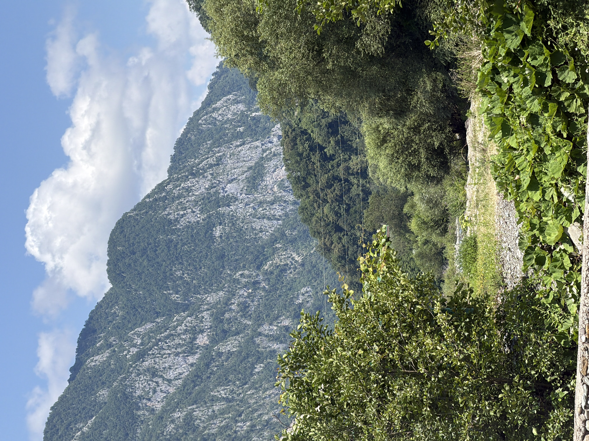 A natural landscape scene depicts a mountainous area under a partly cloudy sky. The foreground features lush green vegetation, including large-leafed plants and trees, with a rocky riverbed visible in the mid-ground. In the background, imposing, tree-covered mountains rise steeply, their rocky surfaces exposed in places. The scene appears to be a wilderness area, possibly a national park or nature reserve, located in Adlerskiy, Russia, known for its scenic mountain ranges and natural beauty. There are no people or animals visible in the image. The time of day appears to be daytime, with ample sunlight illuminating the scene.