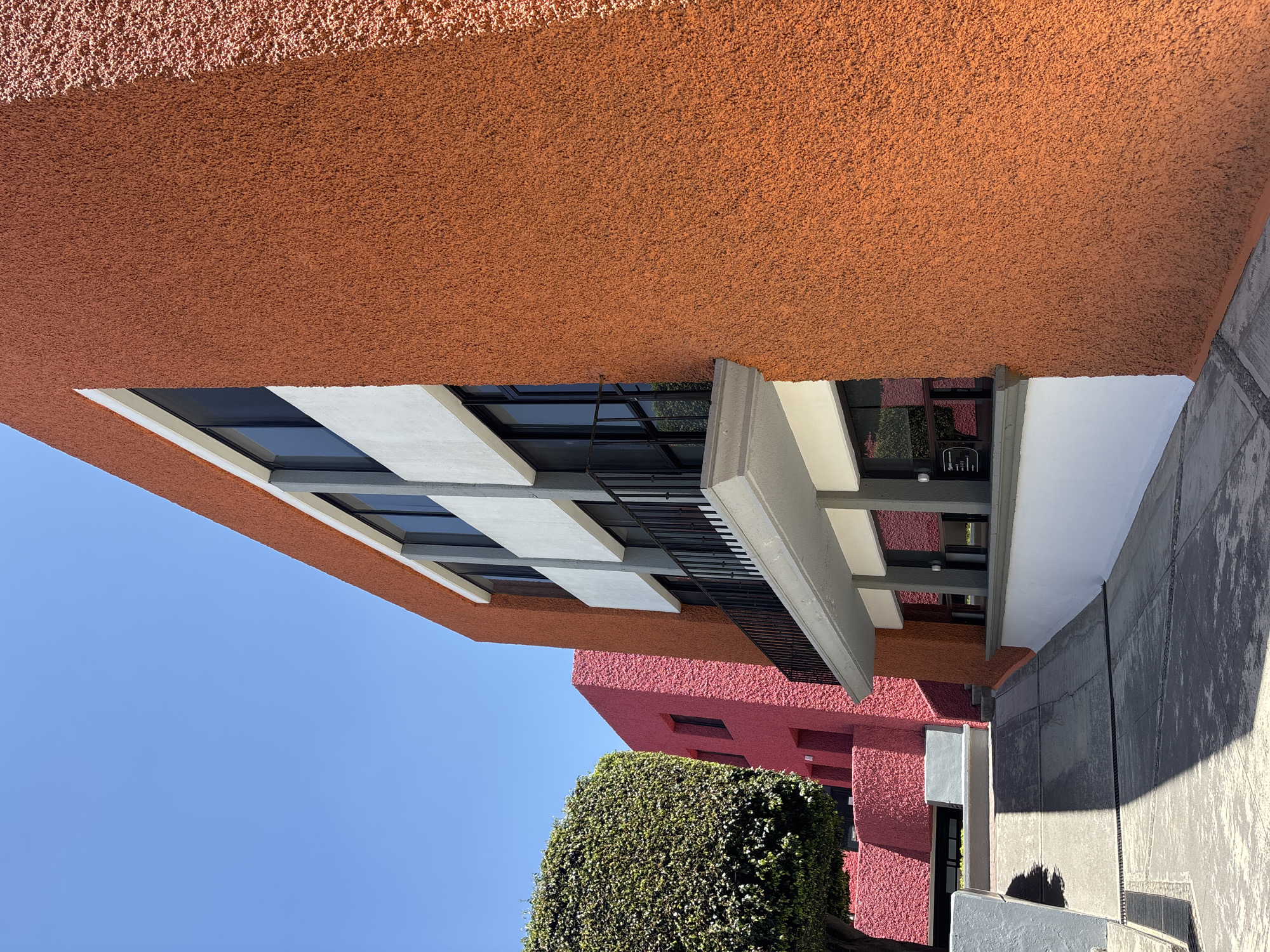 This image depicts a brightly lit urban scene in San Andrés Cholula, Mexico, under a clear blue sky. The foreground is dominated by a concrete ramp or driveway, partially shaded, descending towards the background, featuring several metal drainage grates. To the immediate right, a building with a textured, reddish-orange facade extends vertically. This building has multiple dark-tinted windows, framed in white and grey, and a prominent grey balcony with a black metal railing. The lower section of this building's wall is painted white. Further left and behind, a second building with a textured, deep pink or magenta facade is visible, featuring dark, recessed windows or openings and angular architectural elements. To the far left, a large, well-maintained green tree or bush stands tall, providing a natural contrast to the architectural structures. No individuals or active events are present in the scene.