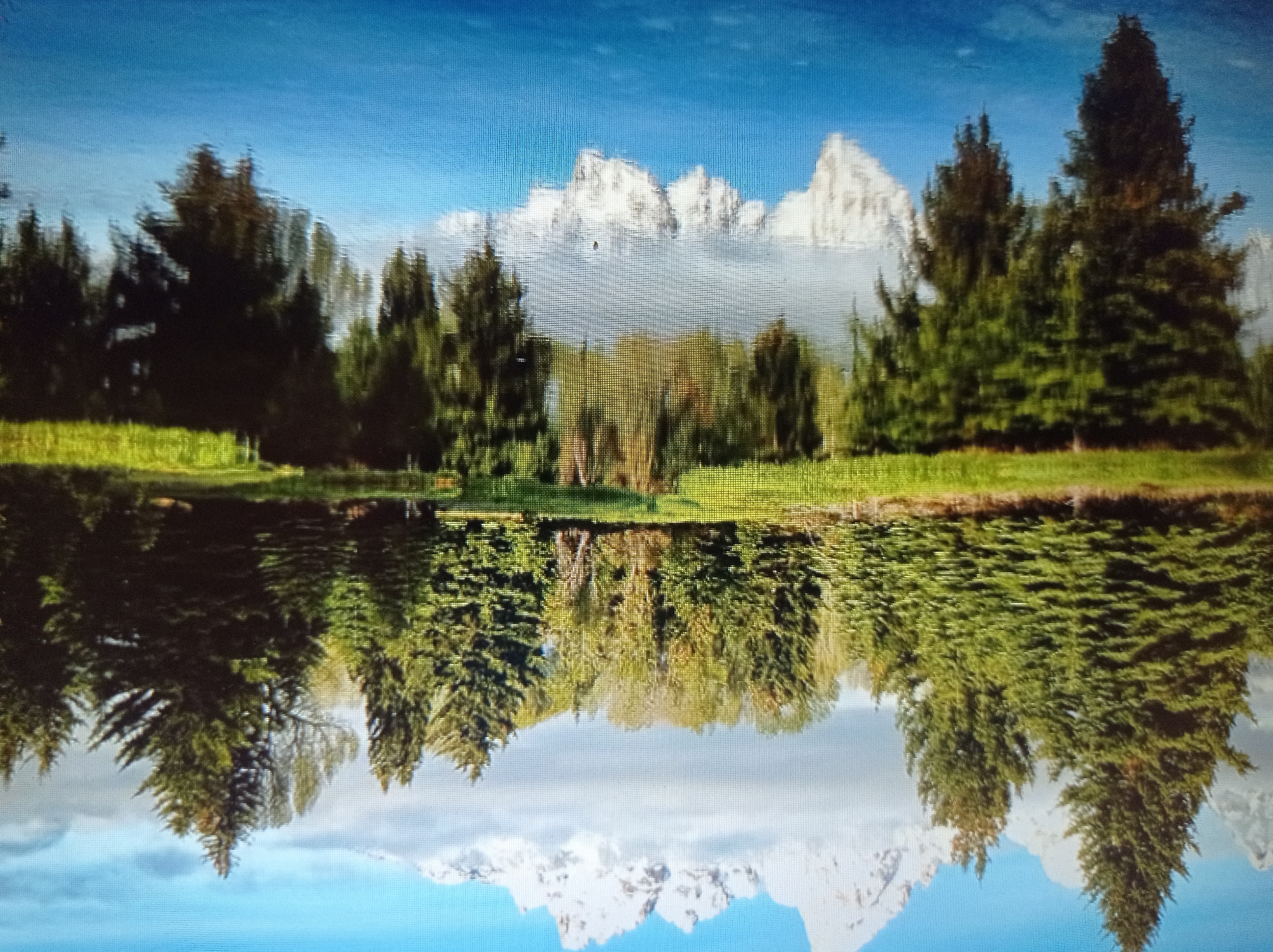 This is a scenic landscape photograph featuring a body of water reflecting trees and snow-capped mountains under a blue sky. The foreground consists of a calm lake or pond with a dark, reflective surface. The middle ground is occupied by a line of lush green coniferous and deciduous trees, with some deciduous trees showing hints of yellow and orange, suggesting autumn. Beyond the trees, majestic, snow-covered mountain peaks rise into a bright blue sky. Wispy white clouds are visible partially obscuring the lower sections of the mountains. The reflection in the water accurately mirrors the trees and mountains, creating a symmetrical effect. The overall impression is one of natural beauty and tranquility. The photograph does not depict any people, specific urban features, or any elements that would indicate it is located in the city of Mukachevo, Ukraine.