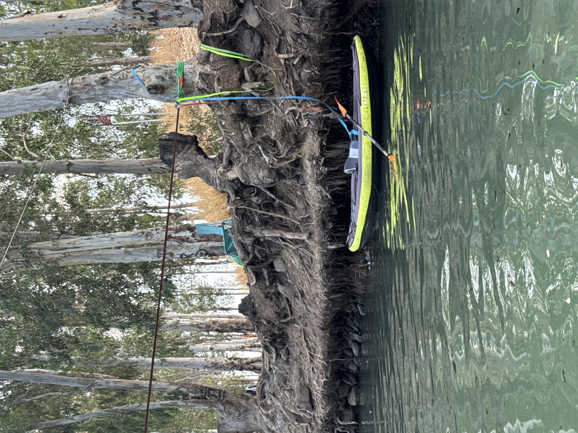 An inflatable kayak, yellow and black, with a paddle resting across it, is moored in the green, rippling water of the Jordan River. The kayak is tethered by a blue and green rope to a large, gnarled tree with exposed roots that form a dense embankment. This embankment is covered in dirt, rocks, and dry vegetation. Behind the embankment, a line of tall eucalyptus trees with pale, peeling bark stretches into the background. A blue plastic chair is visible amongst the trees. The scene appears to be in a natural setting, likely within the Emek HaYarden Regional Council, Israel, given the presence of the Jordan River. There are no people clearly visible in the image.