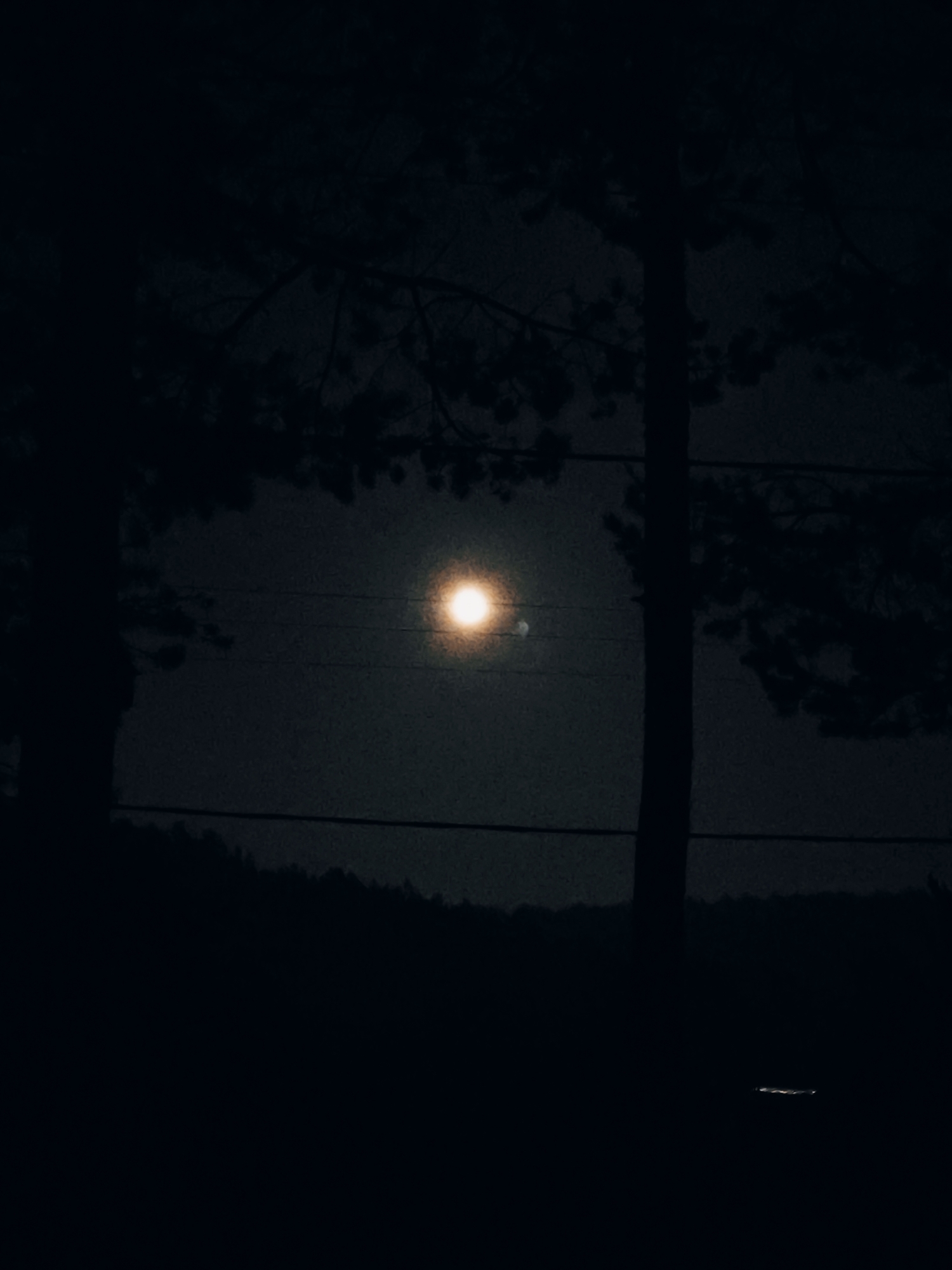 A dark, nighttime scene is depicted with a prominent, bright full moon centrally located. The moon is illuminated and appears to have a small, dimmer object near it. The foreground is dominated by silhouetted trees, one on the left and another on the right, framing the moon. Two dark, horizontal lines, possibly power lines, stretch across the middle ground. Below the moon and power lines, a darkened, silhouetted landscape of trees and a hill is visible. The lower portion of the image is almost entirely black, with a faint, horizontal glint of light near the bottom right edge, possibly from a distant light source. The overall impression is that of a serene, rural night. The location is identified as Angarskie Khutora, Russia.