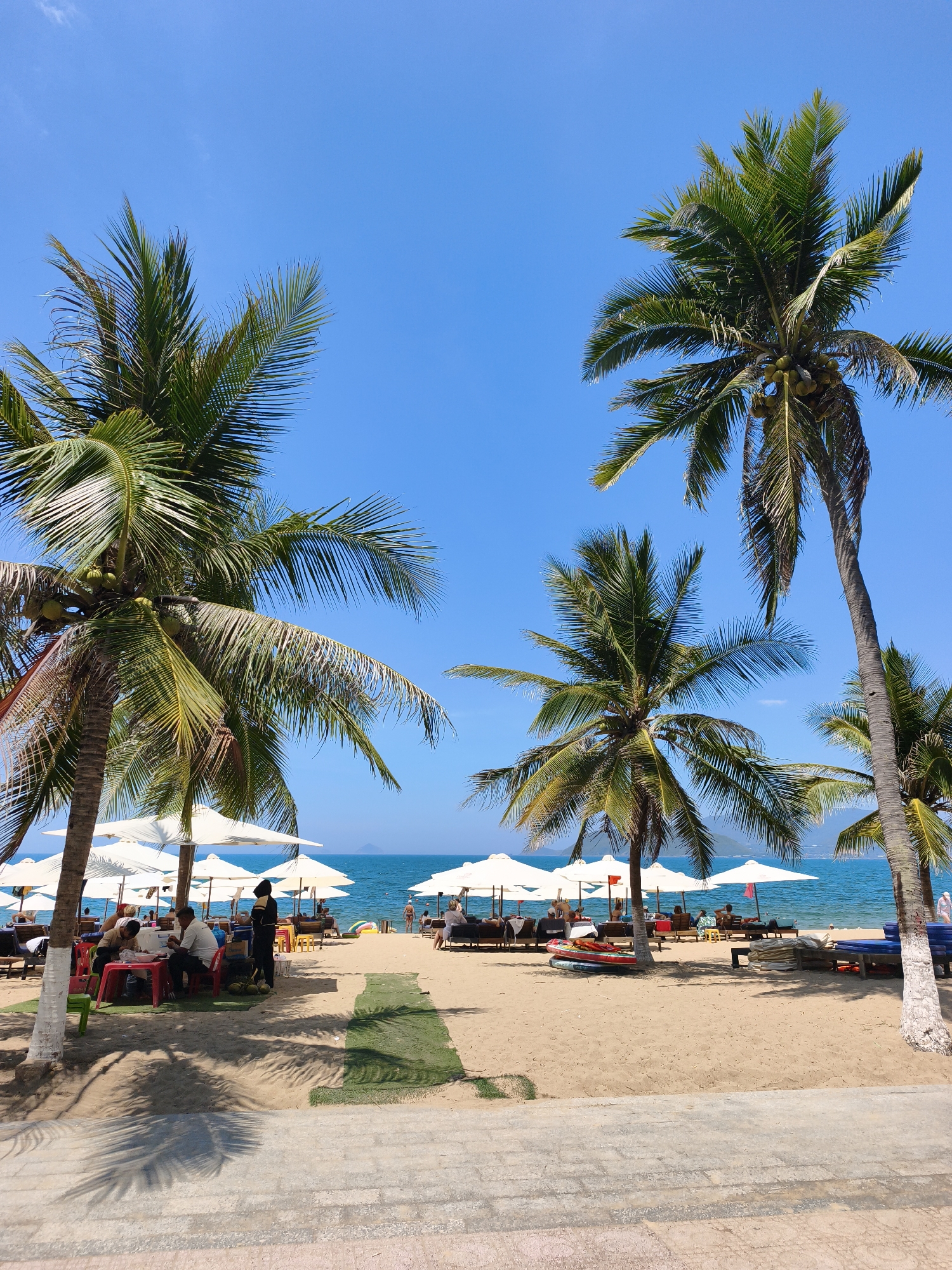 The image depicts a sunny day at a beach resort in Nha Trang, Vietnam. Palm trees with green fronds and coconuts dominate the foreground and midground, casting shadows on the sandy beach. Several white umbrellas provide shade for beach chairs arranged in rows facing the blue ocean. People are seated at tables, some appear to be eating or conversing, while others are relaxing on loungers. In the distance, the calm ocean stretches towards a hazy horizon, with a faint outline of mountains visible. The scene suggests a typical tourist-oriented beach environment, with amenities for relaxation and leisure.