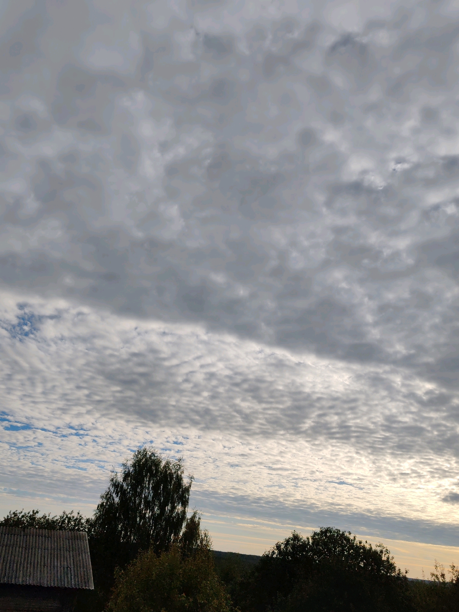 The image captures a sky filled with dense, undulating gray clouds, with a break revealing patches of lighter sky. Below the clouds, a line of dark green trees is visible. In the foreground on the left, a portion of a dark, corrugated roof structure is present. The scene appears to be set in a rural or suburban area, possibly on the outskirts of the city of Chukhlem, Russia, given the presence of vegetation and the building material of the roof, which is common in that region.
