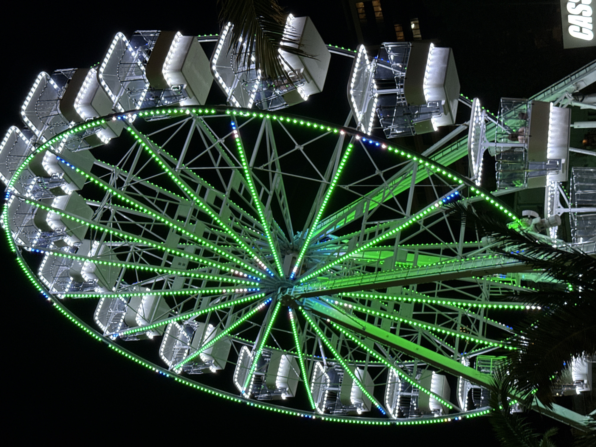 A large Ferris wheel is illuminated with green and white lights against a dark night sky in Budva, Montenegro. The Ferris wheel has a white metal structure and multiple passenger cabins, some of which are visible and appear to have people inside. Palm fronds are in the foreground, obscuring parts of the Ferris wheel. In the background, the lights of a building are visible, and part of a sign that reads "CASS" is present. The image captures a nighttime view of an amusement attraction.