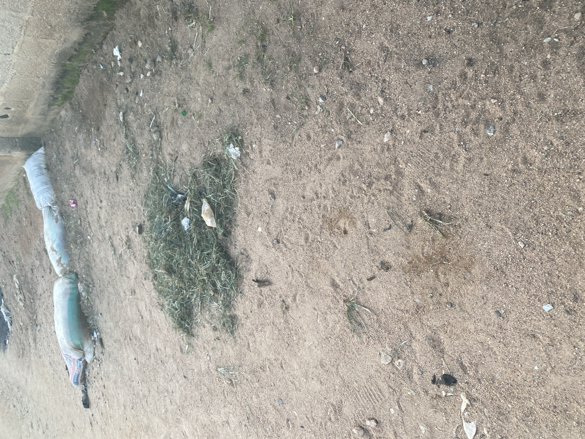 The image depicts an outdoor scene in Jalingo, Nigeria, characterized by a dirt and sand ground with scattered debris. In the background, two large white sacks are visible, one partially obscured. To the left, a red and green sack is lying on the ground, with some black objects also present. In the middle of the scene, a pile of green grass cuttings is visible, along with some scattered white papers. The ground itself is uneven and sandy, with small stones and blades of grass interspersed. To the right, a textured concrete wall runs along the edge of the scene, with some patches of green moss growing at its base. The overall impression is one of an unkempt outdoor area, likely a communal space or the side of a building.
