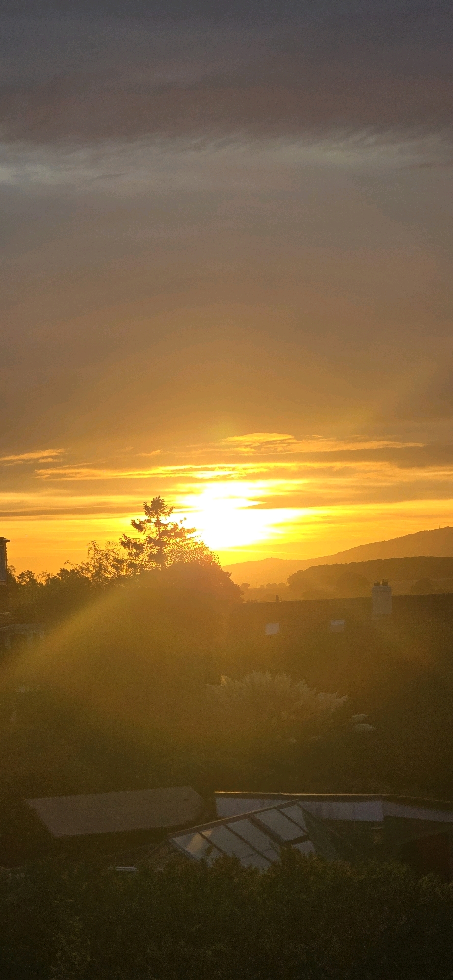 This is a vertical, outdoor, eye-level, medium shot of a sunset in Bayston Hill, United Kingdom. The sun is a bright, blinding yellow orb near the horizon, casting a warm, golden light across the sky. The sky itself is a gradient of colors, from a pale grey at the top to a vibrant orange and yellow near the horizon. Wispy clouds are scattered throughout the sky, catching the light and adding texture.
In the foreground, silhouetted against the sunset, are the rooftops of several buildings. One building has a greenhouse structure with a glass roof. Trees and foliage are also visible, casting shadows and adding depth to the scene. A tall evergreen tree stands out in the middle ground, its silhouette stark against the bright sky. The overall impression is one of a peaceful and picturesque evening.