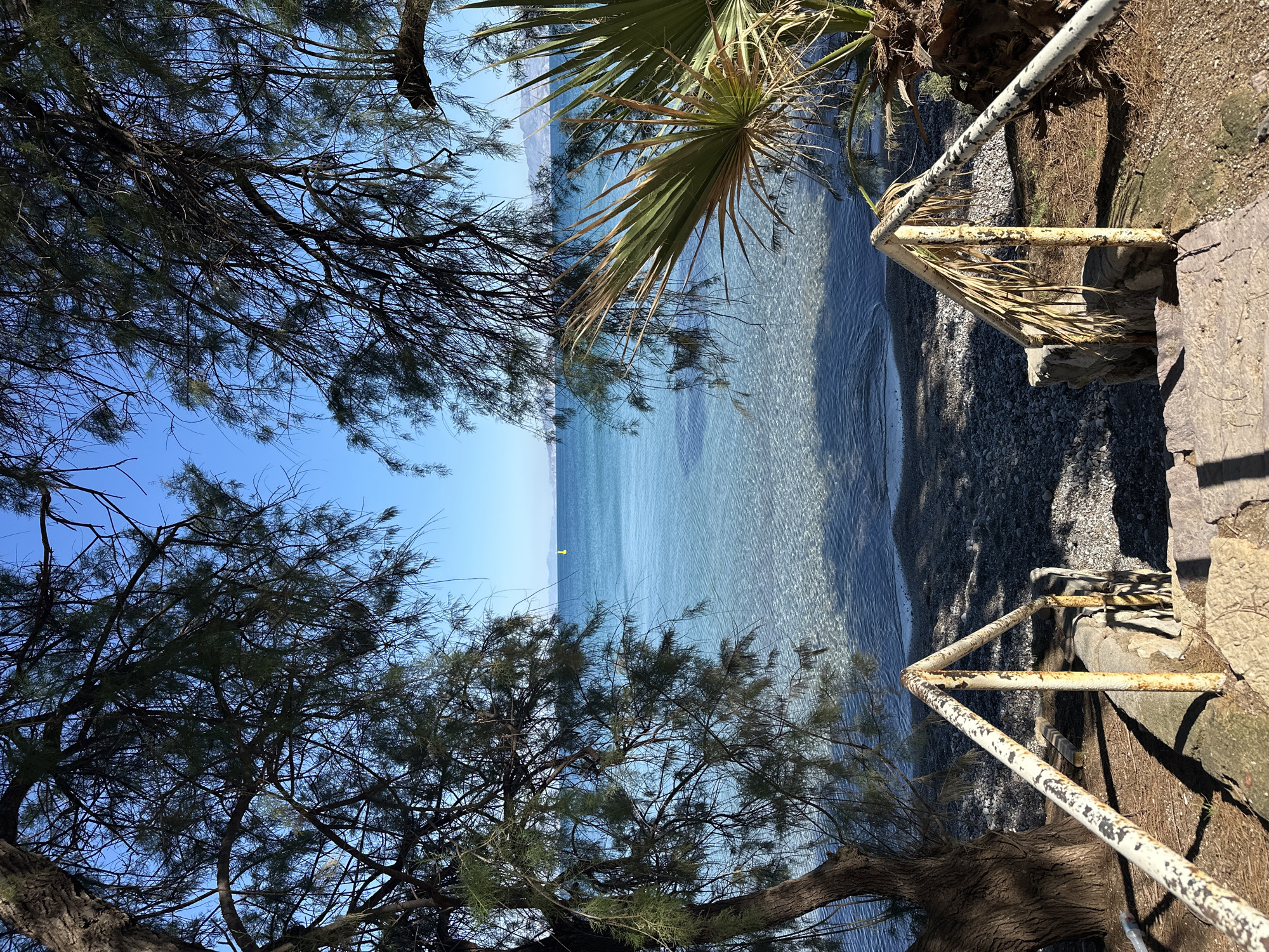 A sunny seaside scene in Datça, Turkey, is viewed from an elevated position through tree branches. The clear turquoise water of the sea stretches to a distant horizon. A yellow buoy is visible in the water. A set of stairs with rusty white metal railings leads down to a pebbly beach. Vegetation, including palm trees, is present on the right side of the frame.