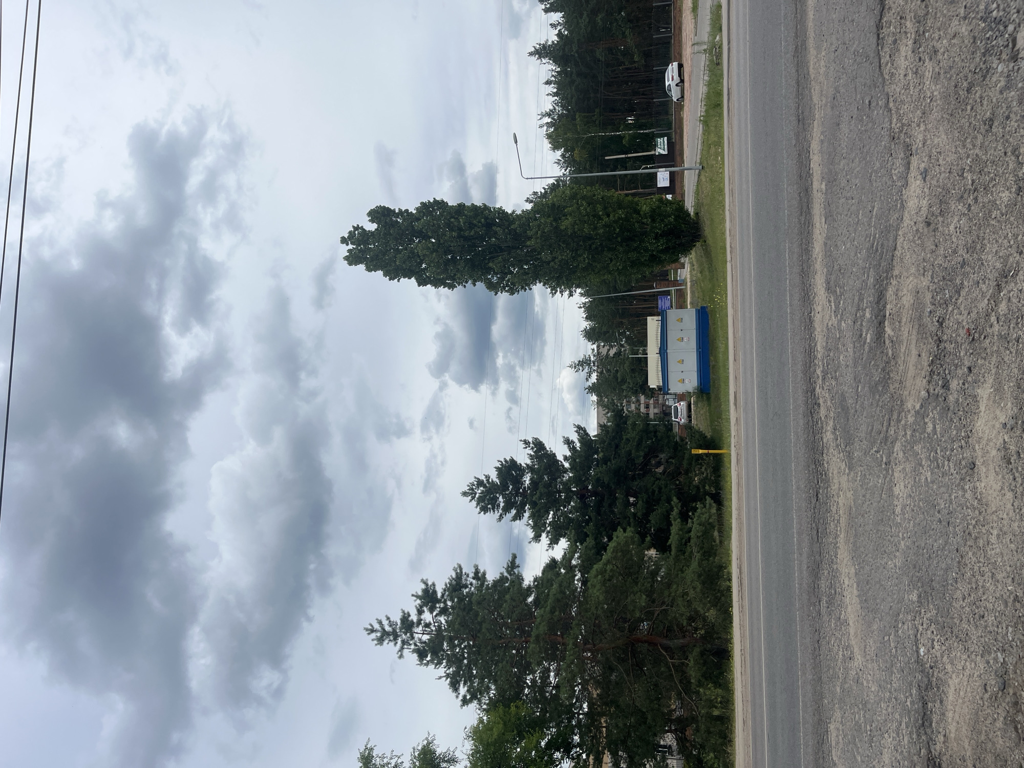 The image depicts a roadside scene on a cloudy day, with a focus on a power substation and surrounding trees. In the foreground, a two-lane asphalt road is visible, showing some wear and tear. Beyond the road, a strip of grass and a few yellow markers precede a low-rise blue and white substation, marked with warning symbols. To the left of the substation, a tall, slender deciduous tree stands out, while to the right, a dense line of coniferous trees forms the background. A white sedan is parked to the right of the substation, and another white car is seen further down the road. Power lines stretch across the upper portion of the frame. The environment appears to be on the outskirts of a populated area, possibly near an industrial zone or a residential development, given the presence of the substation and the mix of natural and man-made elements. The overcast sky suggests a potentially cool or damp day. The location is identified as Malyshevo, Russia.