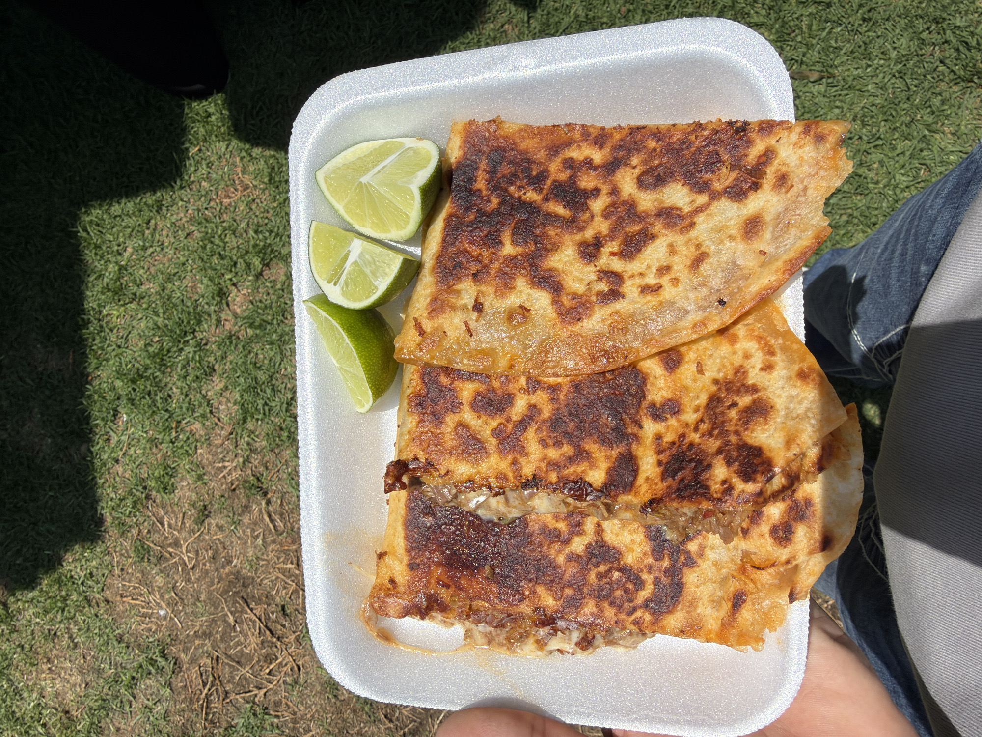 A high-angle, close-up shot captures a casual outdoor meal, likely in San Andrés Cholula, Mexico. The central focus is a white styrofoam container holding two large, folded, and grilled tortilla-based dishes, resembling quesadillas or mulitas. The tortillas are deeply golden brown with appetizingly charred, crispy spots on their surface. The lower piece reveals a generous, savory filling, which appears to be a mix of shredded or diced meat and melted cheese, spilling slightly from the edges. A bite has been taken from the upper right corner of one of the pieces, indicating it's actively being consumed.
Alongside the grilled food are three vibrant green lime wedges, with their juicy pulp visible, suggesting they are intended to be squeezed over the dish for added flavor. The container is held by a person whose fingers and thumb are visible at the bottom of the frame, along with parts of their blue denim jeans and light-colored clothing on the right.
The background consists of green grass, showing some patches of drier, browner earth. Strong, clear shadows are cast on the ground, notably a large, somewhat rectangular shadow of a person in the upper left, indicating bright sunshine and an outdoor setting. The image conveys a simple, satisfying meal enjoyed on a sunny day. No text is visible in the frame.