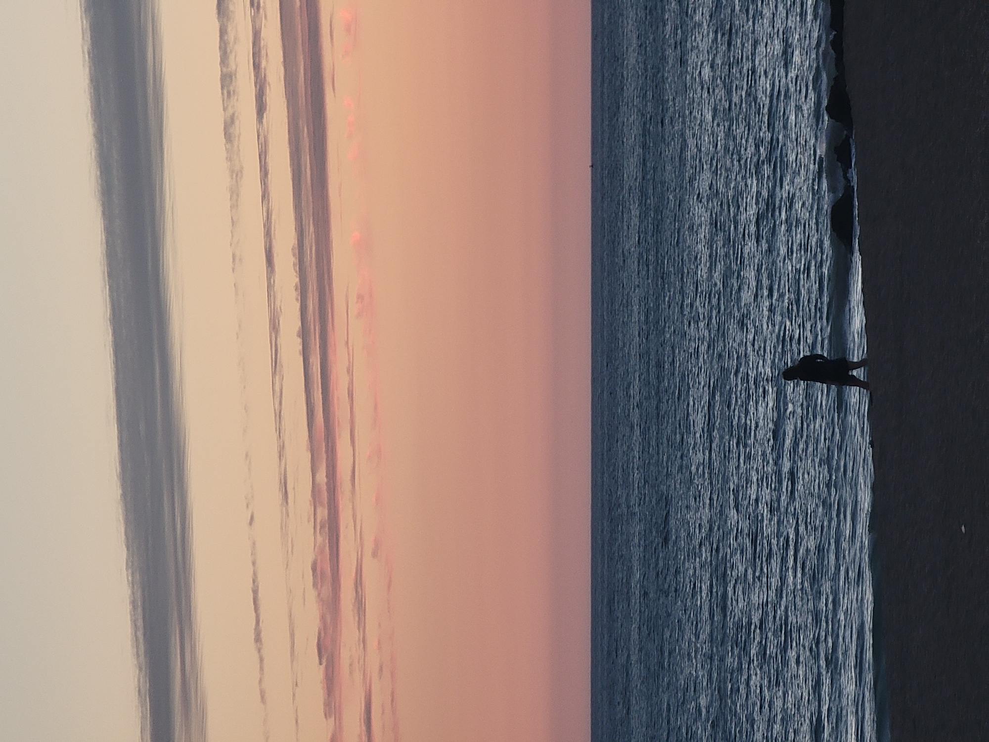 A silhouetted figure walks along a beach at sunset. The sky is a gradient of pink and orange, with streaks of gray clouds. The ocean is dark blue and choppy. The beach is dark and sandy. The scene appears to be at a beach in Quarteira, Portugal.