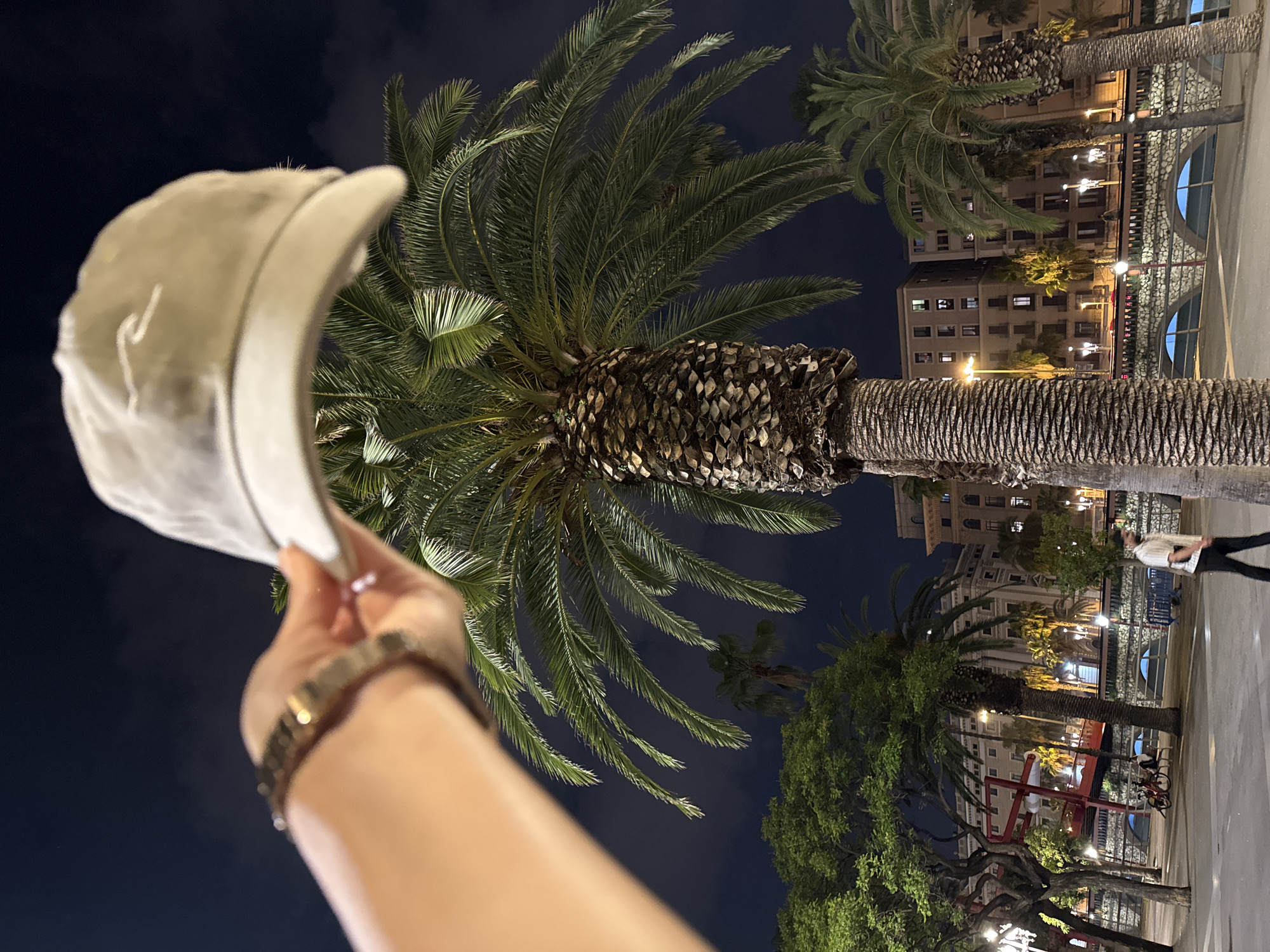 A nighttime outdoor shot shows a palm-lined street in Barcelona, Spain. The perspective is upward, showing the night sky. A person's arm extends into the frame from the left, holding a light-colored baseball cap aloft. The arm has a gold watch. In the background, buildings with lit windows and streetlights illuminate the scene. Palm trees are the dominant feature, with one particularly large specimen centered in the frame. The base of another tree is visible at the right of the image, with a person in a white shirt walking to the right. Bicycles are parked near the red metal structures near the bottom.