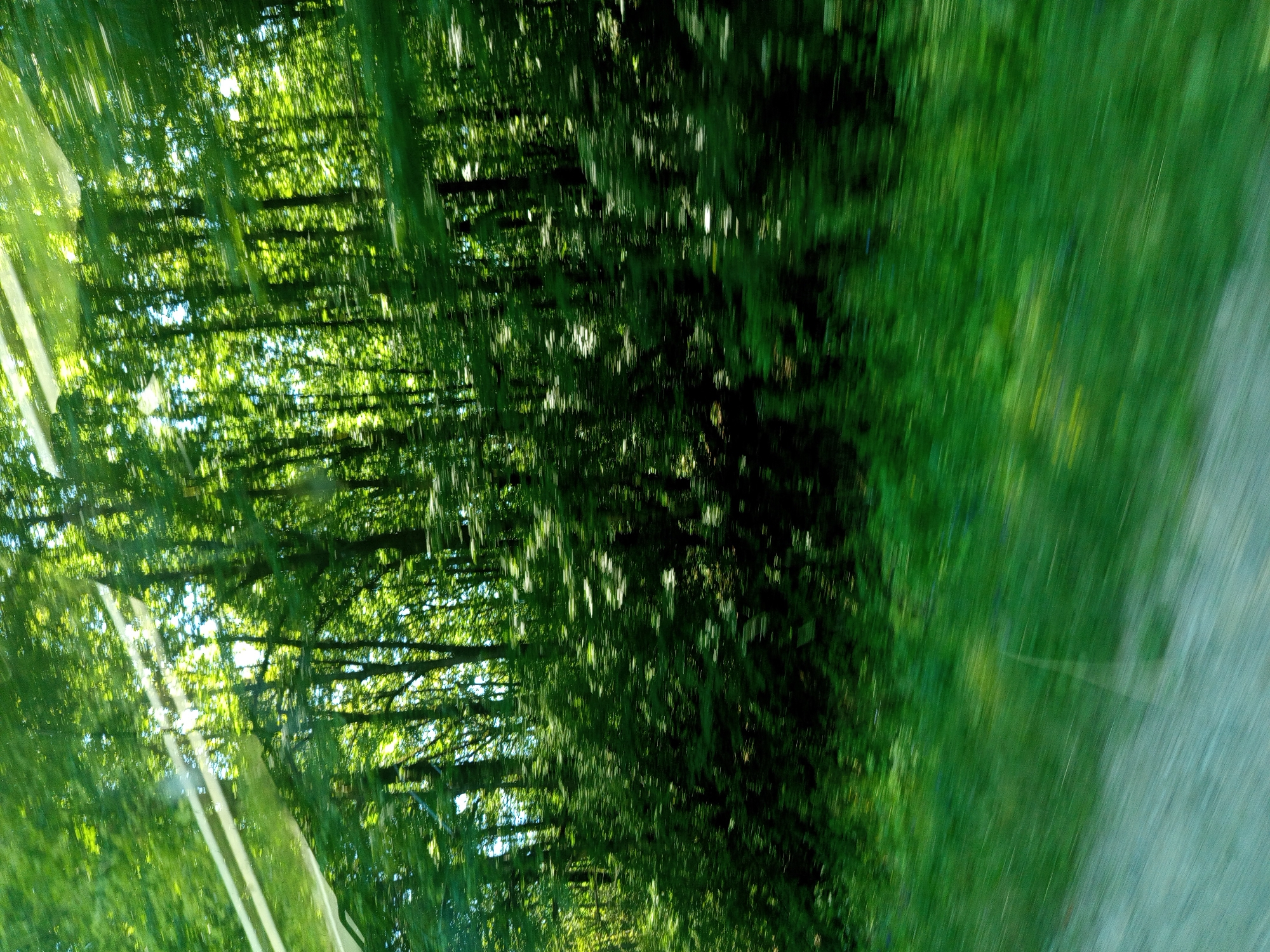 A side view of a forest is captured from a moving vehicle, likely a car, on a sunny day. The lush green foliage of the trees and undergrowth is blurred due to motion, creating streaks of light and shadow. Sunbeams pierce through the canopy, illuminating the dense forest. In the foreground, a blurred green grassy embankment slopes downwards, transitioning to a lighter, possibly gravel or dirt, path on the lower left. The image conveys a sense of speed and immersion in nature. The location in the city of Giaginskaya, Russia, suggests a rural or suburban setting with abundant natural landscapes.