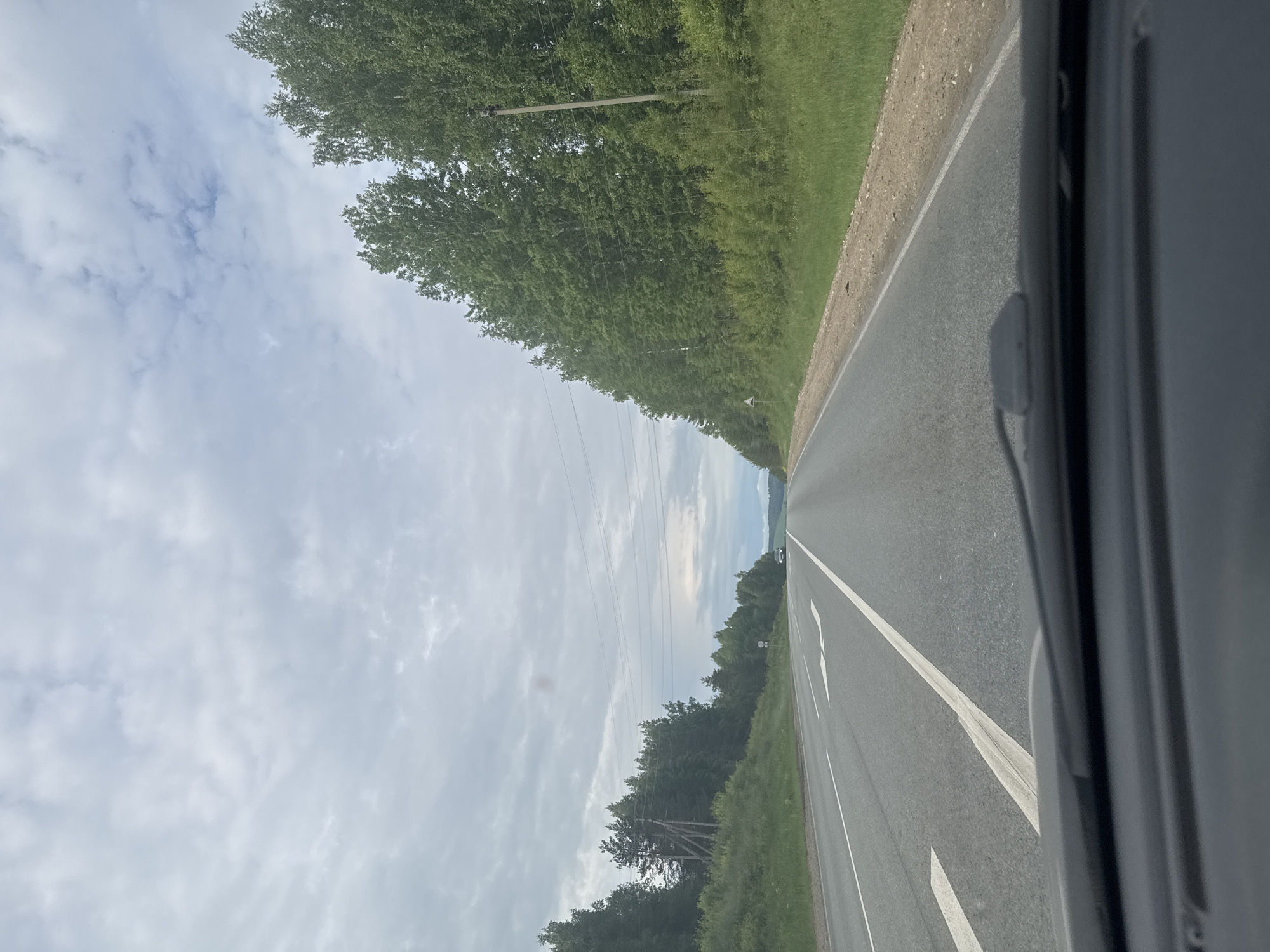 The image, captured from the interior of a vehicle, depicts a rural road cutting through a wooded landscape under an overcast sky. The dark frame of the vehicle's window or door is visible on the right, partially obscuring the view. The asphalt road features clear white markings, including a solid white line along the edge, a dashed line further in, and a large white directional arrow painted on the surface.
To the left of the road, a narrow dirt or gravel shoulder gives way to a vibrant green grassy verge, which in turn meets a dense line of tall, leafy trees forming a continuous green wall. Several utility poles, supporting multiple power lines, are visible along the treeline, extending into the distant sky. A small, white triangular road sign with a black border and a right-pointing arrow is discernible near the trees on the roadside. In the distance, the road appears to curve gently to the right, with a faint, light-colored vehicle visible far down the road.
The sky is predominantly light gray, filled with scattered clouds, indicating an overcast but bright daytime. The scene suggests a calm journey through a natural, possibly forested area in Шумиха, Russia. No people are visible.