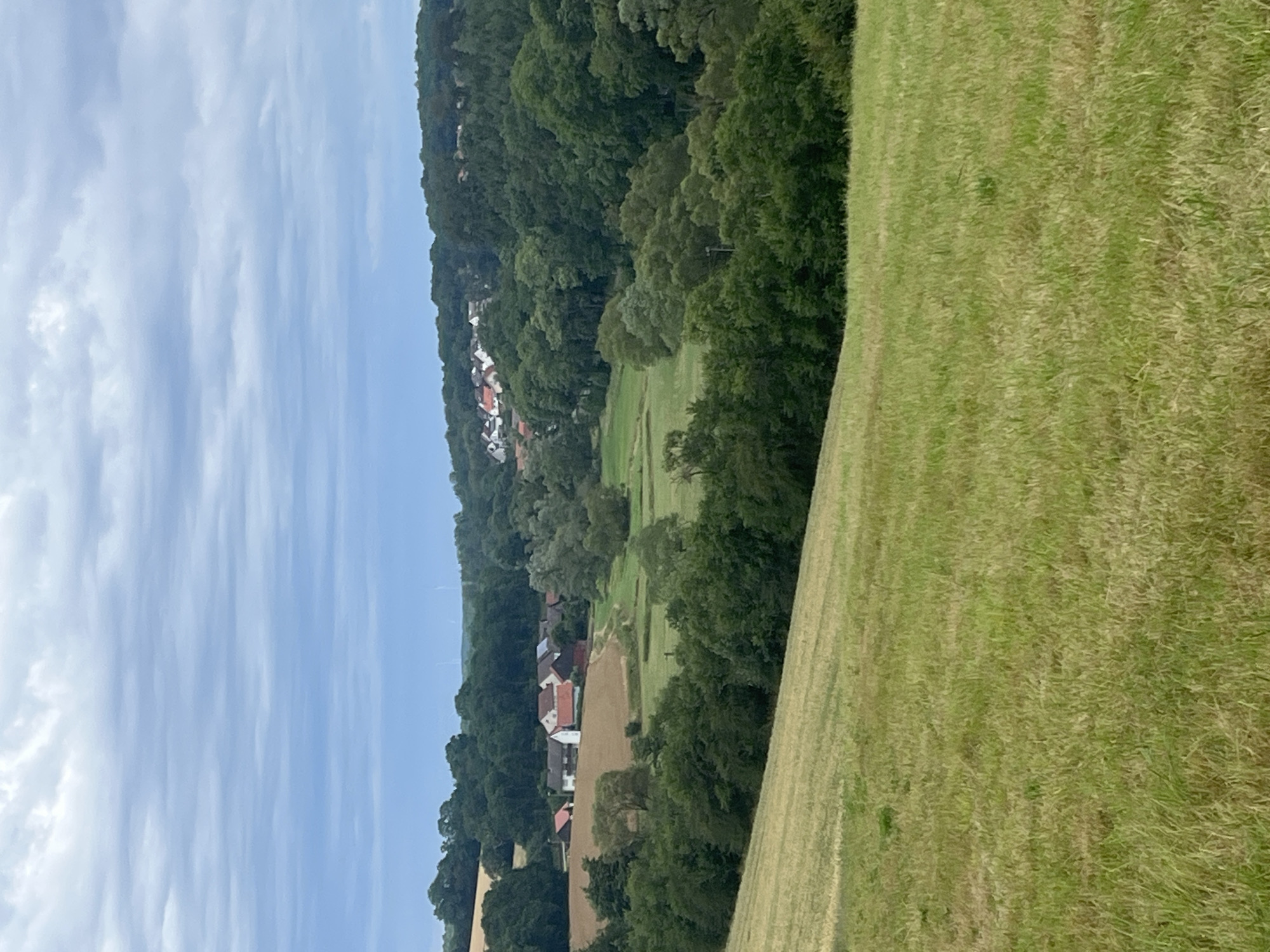 The image depicts a pastoral landscape under a cloudy sky. In the foreground, a field of green and yellow grass slopes upwards. Beyond this field, a cluster of buildings, likely a village or farmstead, is nestled among trees. These buildings feature red-tiled roofs and white or light-colored walls. The village is situated on a gentle incline, with dense green trees surrounding it and forming the backdrop. Further in the distance, silhouetted against the sky, appear to be wind turbines, suggesting a rural or semi-rural setting. The overall impression is one of a quiet, natural environment, possibly in the countryside near Momberg, Germany, given the context provided. There are no people visible in the image.