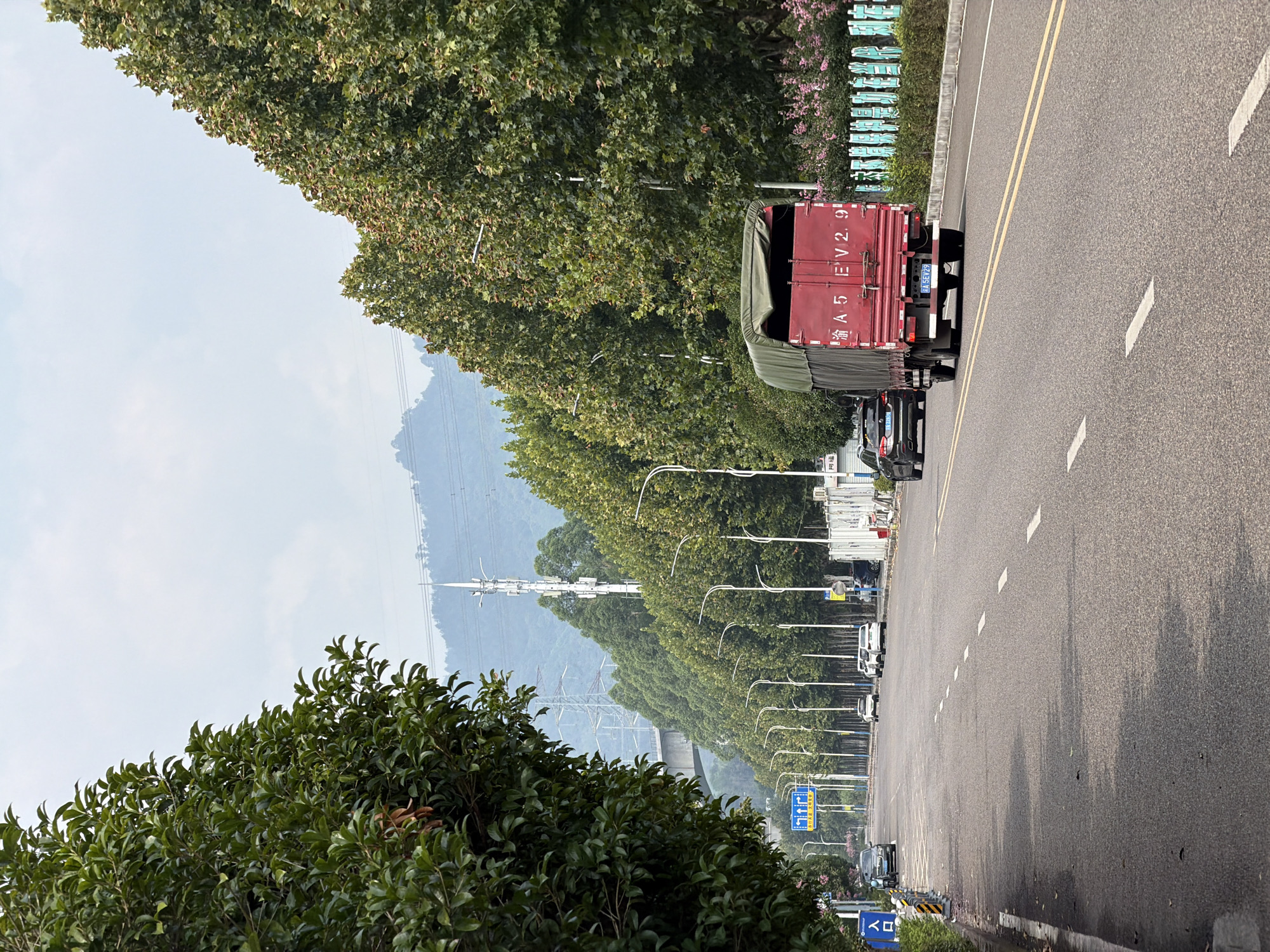 The image shows a road in the city of Jiangjin, China. The road is lined with trees and streetlights. Several cars and a truck are visible on the road. In the background, there are power lines and a mountain. The sky is overcast. A red truck with a green tarp is driving away from the camera, showing its license plate which reads "A 5 EV2 9". The truck also has some Chinese characters on its back. To the right of the truck, a pink flower bush is visible.