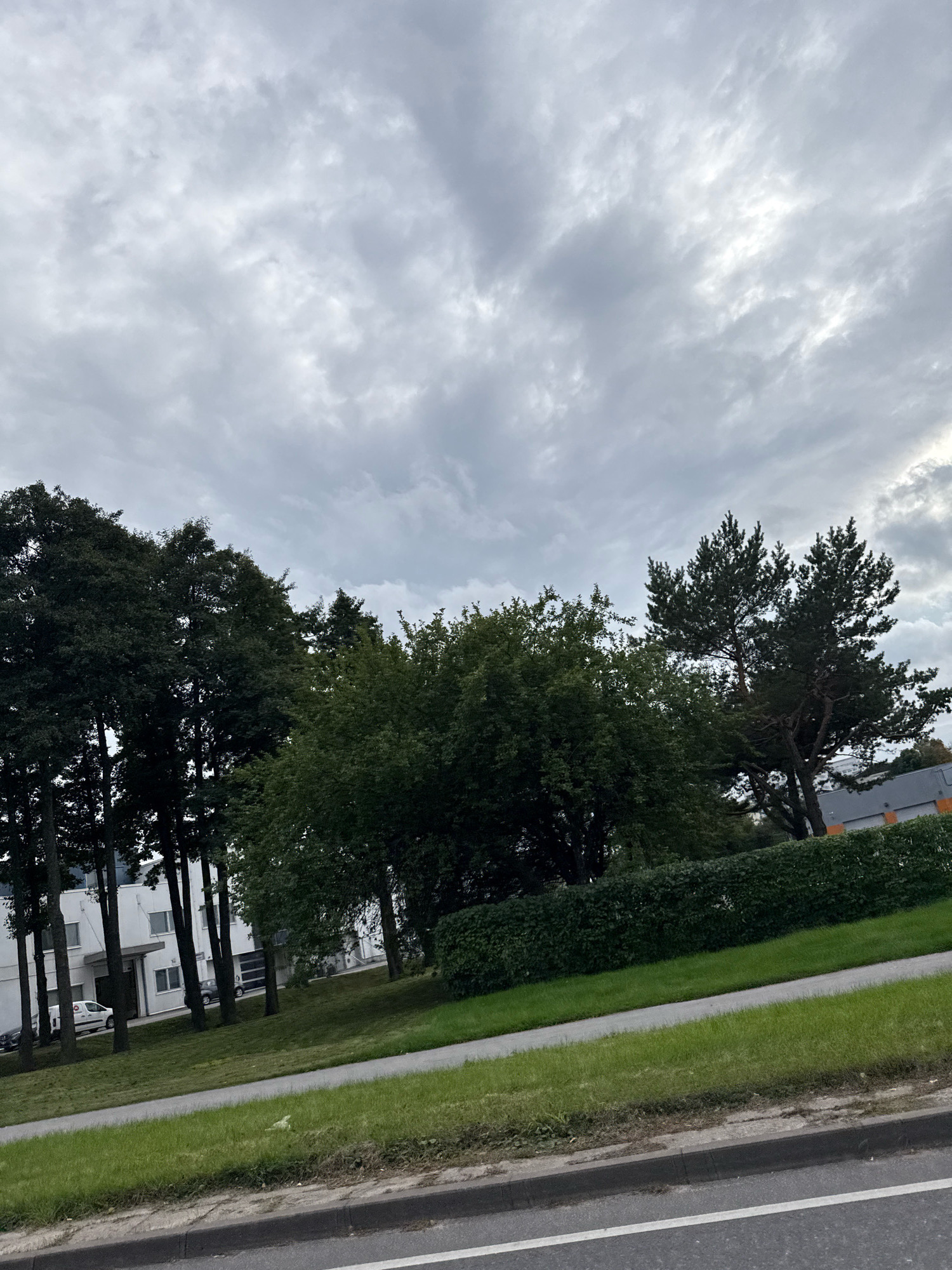 The image depicts an outdoor scene under a cloudy sky, likely in Tallinn, Estonia. In the foreground, a gray asphalt road with a white line is visible, bordered by a concrete curb and a strip of green grass. A paved pathway runs parallel to the road, also edged by grass. Beyond the pathway, a dense, dark green hedge forms a visual barrier.
Behind the hedge, a line of trees with dark green foliage stands tall. To the left, a modern white building with multiple windows is partially visible, with several cars parked in front of it. Among the vehicles, a white van with some markings can be seen. Further to the right, behind the hedge and among other trees, a portion of an orange and gray building is visible. The overall impression is a suburban or business park setting, with a mix of natural and man-made elements under an overcast sky.