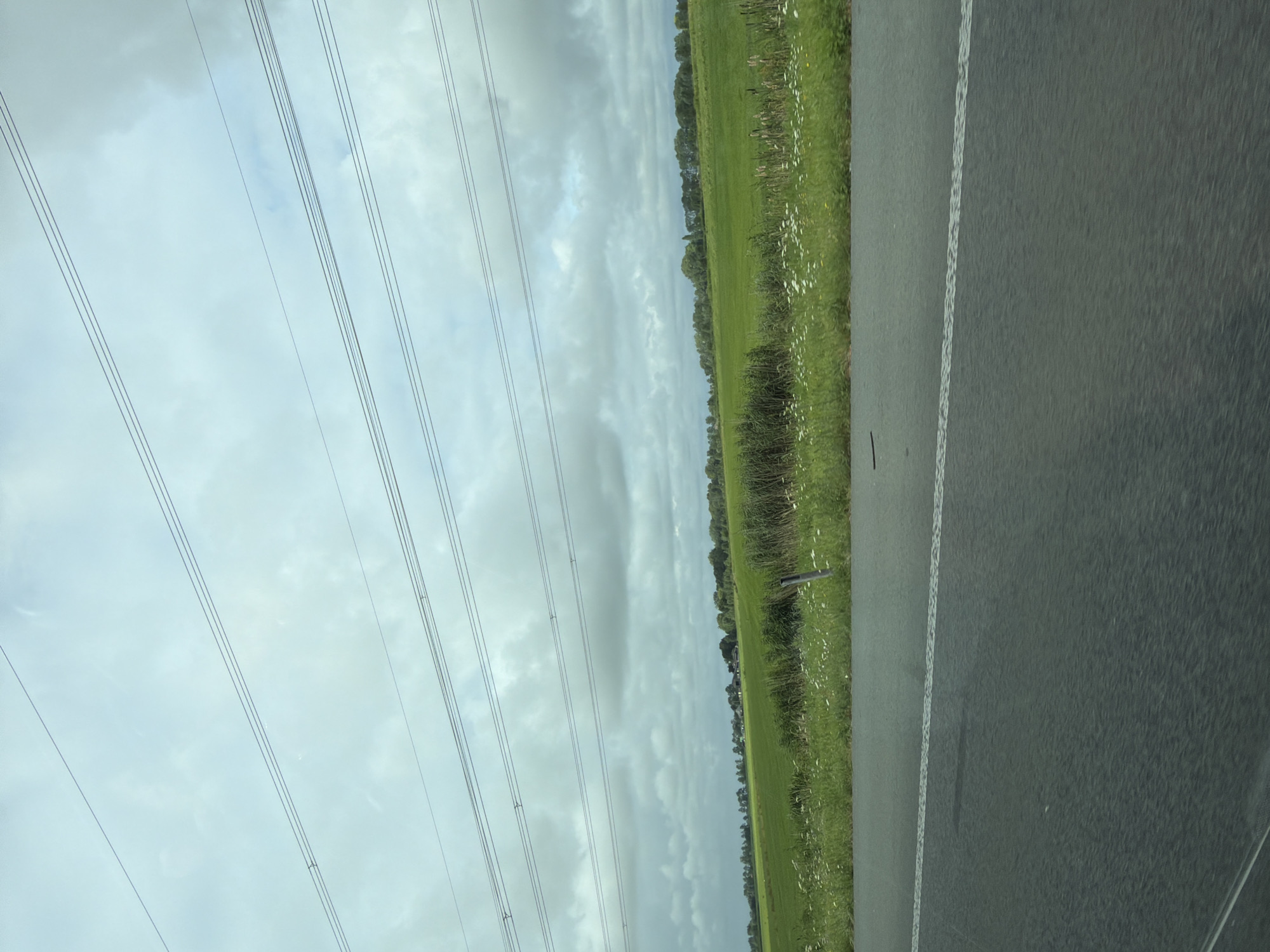 The image captures a rural landscape scene in Nieuwer Ter Aa, Netherlands. In the foreground, a dark asphalt road with a white line marking its edge is visible. Beyond the road lies a vibrant green field dotted with small white wildflowers. A line of tall grass and reeds separates the field from the distance. In the background, a row of trees forms a natural barrier, behind which are some buildings. Overhead, several parallel power lines stretch across a cloudy sky. The overall atmosphere suggests a somewhat overcast day in the Dutch countryside.