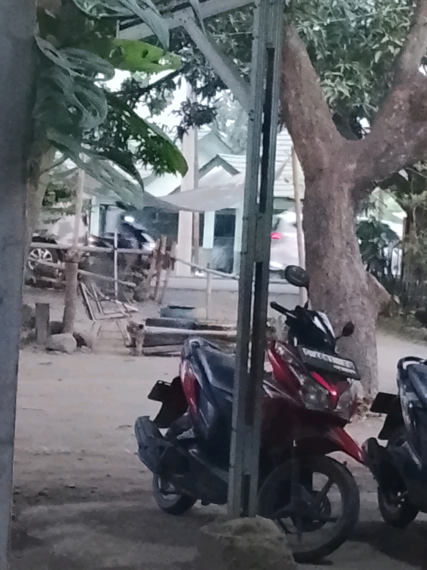 The image depicts an outdoor scene in the city of Ujungrusi, Indonesia. In the foreground, two motorcycles are parked on a dirt and gravel surface. The motorcycle on the left is red and black, and its front wheel and part of the frame are visible. The motorcycle on the right is mostly black and appears to be partially obscured by the first motorcycle. Behind the motorcycles, a large tree trunk with rough bark is prominent. Further in the background, a building with a peaked roof is visible, possibly a house or a shop, with a white awning extending outwards. Several wooden structures and what appears to be a car tire are also present. Green foliage from trees and plants is visible throughout the scene. The overall lighting suggests it may be daytime, possibly late afternoon, with shadows cast by the objects. There are no people clearly visible in the image.