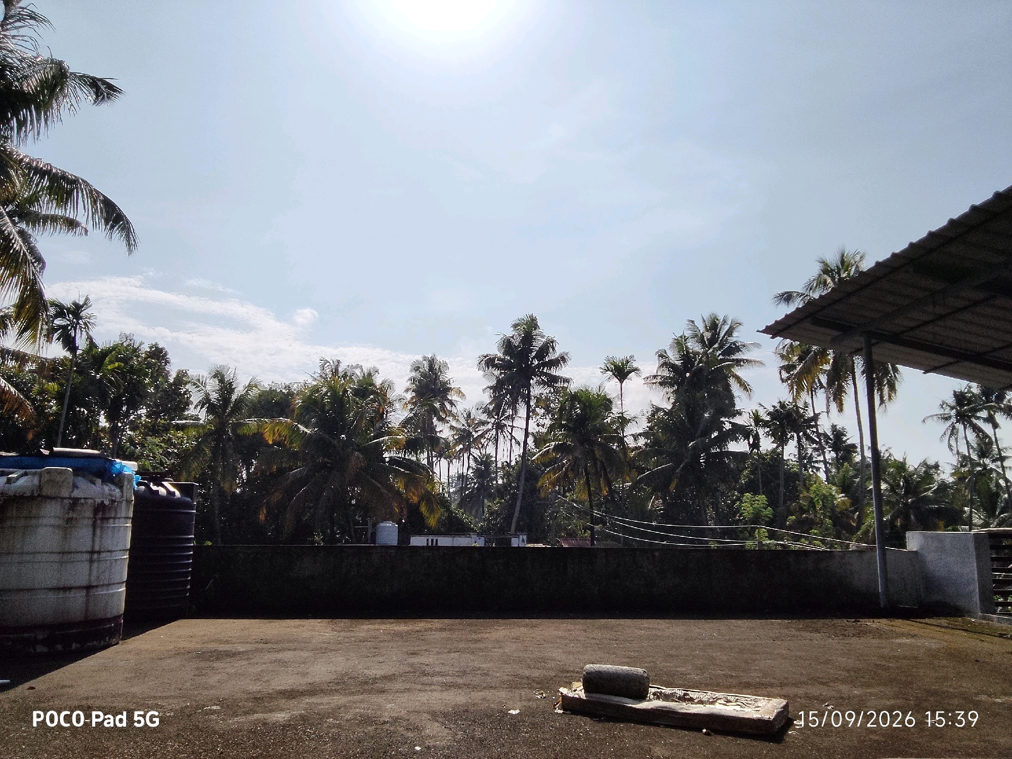 The image is a landscape view taken on a rooftop in Kanjany, India, on September 15, 2026, at 3:39 PM. The scene features a clear blue sky with the sun visible and a few wispy clouds. A dense cluster of palm trees dominates the background, indicating a tropical or sub-tropical environment. In the foreground, a flat, weathered rooftop surface is visible, with two large water tanks on the left side. One tank is white and appears older, while the other is black and ribbed. A dark, low wall runs along the edge of the rooftop, separating it from the vegetation. A portion of a corrugated metal roof structure is present on the right side of the image. On the rooftop floor, a long, flat stone object, possibly part of a grinding stone, rests on a wooden base. The overall impression is of a rural or semi-rural setting.