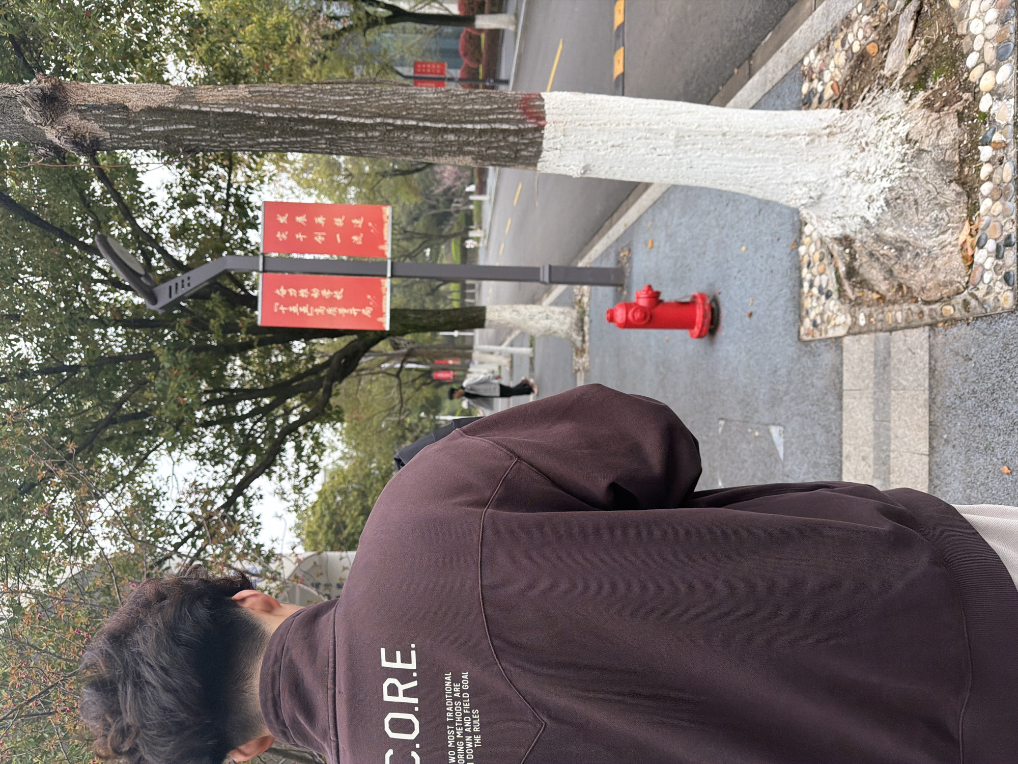 A low-angle shot depicts a man in a brown hooded sweatshirt with the word "C.O.R.E." printed on the back, standing on a paved surface next to a tree in what appears to be Jiangning District, China. The tree is painted white at its base, and a red fire hydrant sits nearby. Overhead signs with Chinese characters are visible, suggesting a public space. Other people walk in the background. The environment is urban, featuring trees, roads, and sidewalks.