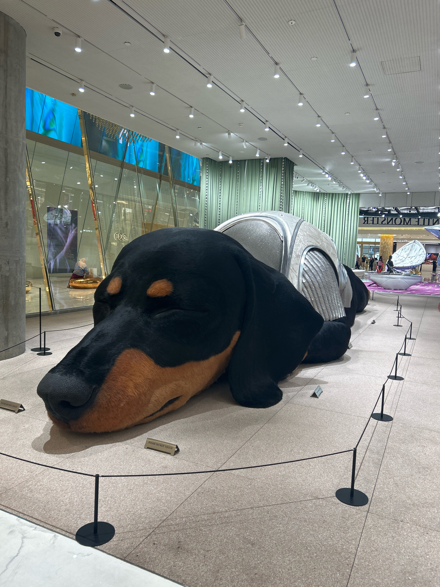 The image depicts a large, inflatable sculpture of a dachshund dog lying down inside a modern shopping mall. The sculpture is black and tan with a metallic, segmented covering over its body. The dog's eyes are closed, giving it a sleeping appearance. The sculpture is cordoned off with black stanchions and ropes to prevent visitors from touching it. In the background, shoppers can be seen browsing in various stores. Signs for "COS" and "THE MONSTER" are visible, indicating the presence of retail establishments. The mall features a high ceiling with numerous track lights and large digital screens displaying vibrant imagery. The overall environment suggests a retail space designed for a contemporary audience. This scene is located at Central Embassy in Bangkok, Thailand, a luxury shopping mall known for its architectural design and high-end boutiques.