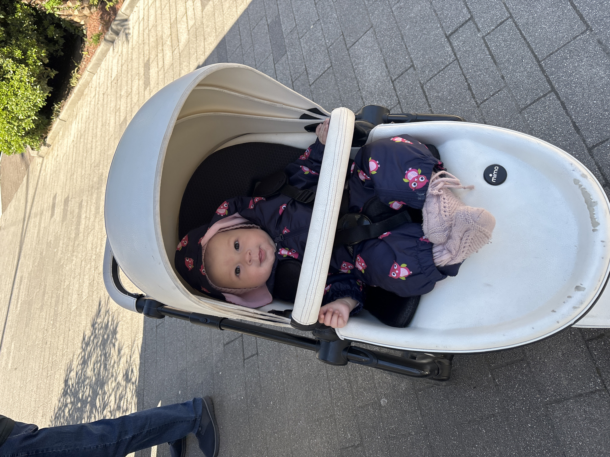 A baby wearing a navy blue snowsuit with pink owl prints and a matching hat is lying in a white Mima stroller. The stroller is on a paved surface, possibly a sidewalk. Part of a person's legs wearing dark jeans and blue shoes is visible in the lower left corner. Greenery and some building elements are visible in the upper left background. The image provides no indication of the location of Sochi, Russia.