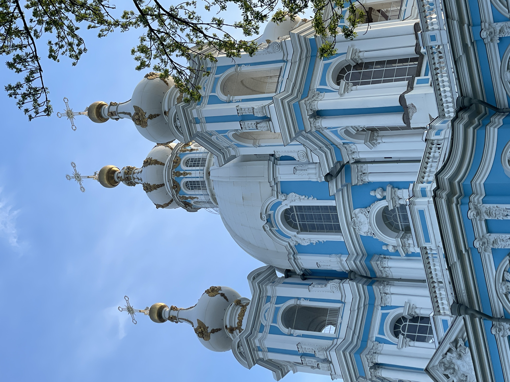 This image presents an upward-angled view of the Smolny Cathedral in St. Petersburg, Russia. The building exhibits a distinctive light blue and white exterior, characteristic of Russian Baroque architecture, with numerous white, bulbous domes. Each dome is crowned with an ornate golden Orthodox cross and features gold decorative elements, including scrollwork, at its base and mid-section. The cathedral's facade incorporates multiple arched windows, white classical columns, and intricately sculpted white ornamentation such as balustrades and relief cherubim or angelic faces. A clear blue sky, containing minimal, faint wispy clouds, forms the background. Fresh green foliage, consisting of tree branches with young leaves, partially obscures the upper right section of the cathedral. No individuals or other animate subjects are present in the scene.