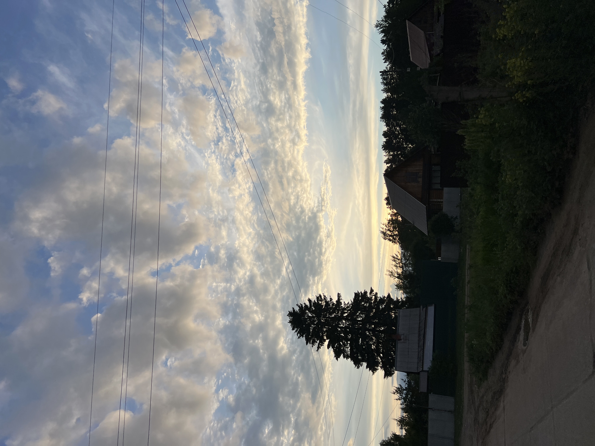 The image shows a partly cloudy sky with power lines running across the left side of the frame. On the right side of the frame is dense foliage and trees, interspersed with structures including a brown wooden house and a gray garage-like building. A tall, dark tree stands prominently in the middle ground, silhouetted against the sky. A paved road is visible at the bottom of the frame. The location is possibly in a residential area of Chaikovsky, Russia, based on the architectural style of the buildings and the presence of power lines and vegetation typical of rural or suburban areas in that region. There are no visible people or overt actions taking place.
