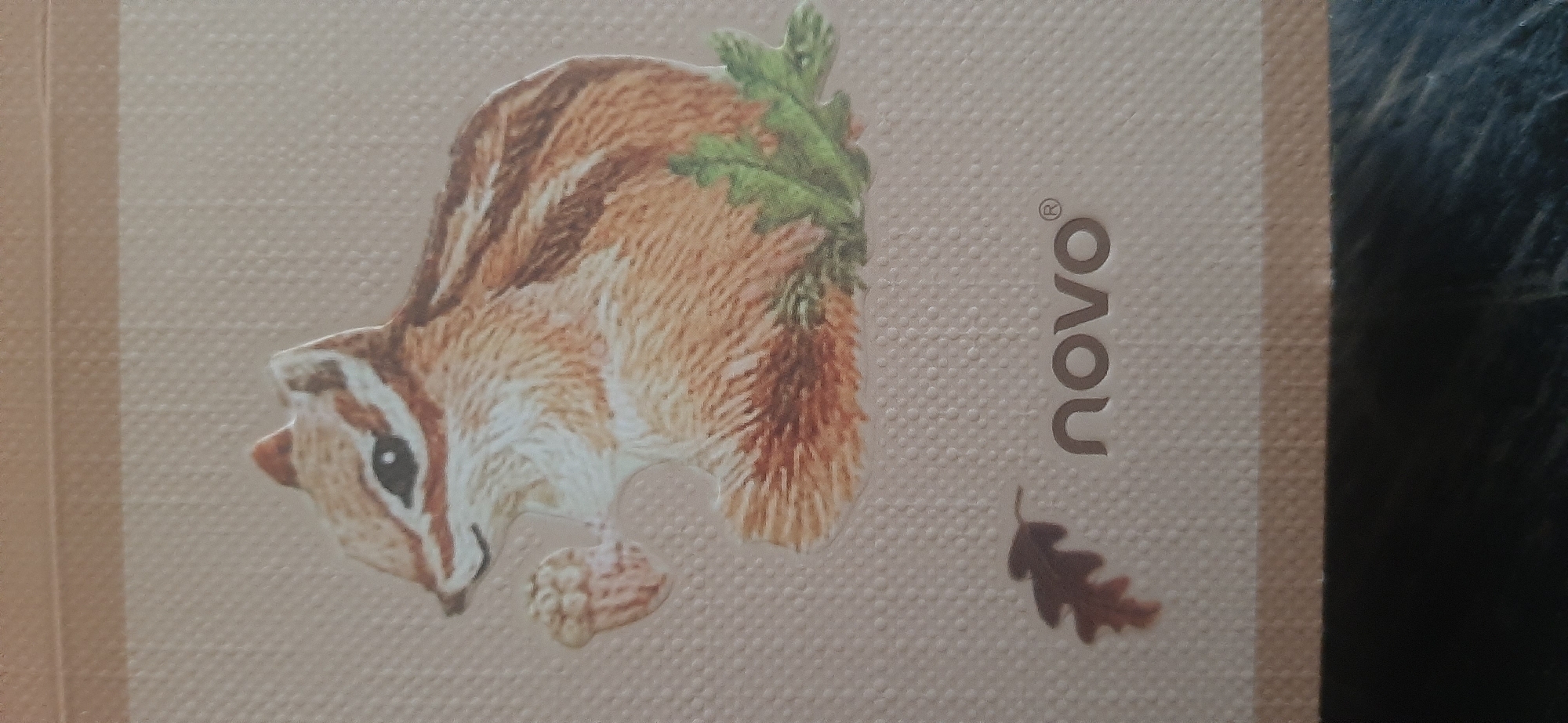 An illustration of a chipmunk is centered on a textured beige surface. The chipmunk is depicted in profile, facing left, holding a small acorn or nut in its paws. It has brown and white stripes on its fur, a bushy tail, and a black eye. To the right of the chipmunk, there is a sprig of green leaves. Below the chipmunk, on the left, is a fallen brown oak leaf. To the right of the oak leaf, the word "novo" is printed in grey, with a registered trademark symbol ® to its right. A horizontal beige band runs across the top of the image, and the bottom of the image shows a dark, textured surface that appears to be fabric. The overall image appears to be a detail from a product packaging or greeting card. There is no information in the image to indicate its location in Yessentukskaya, Russia.