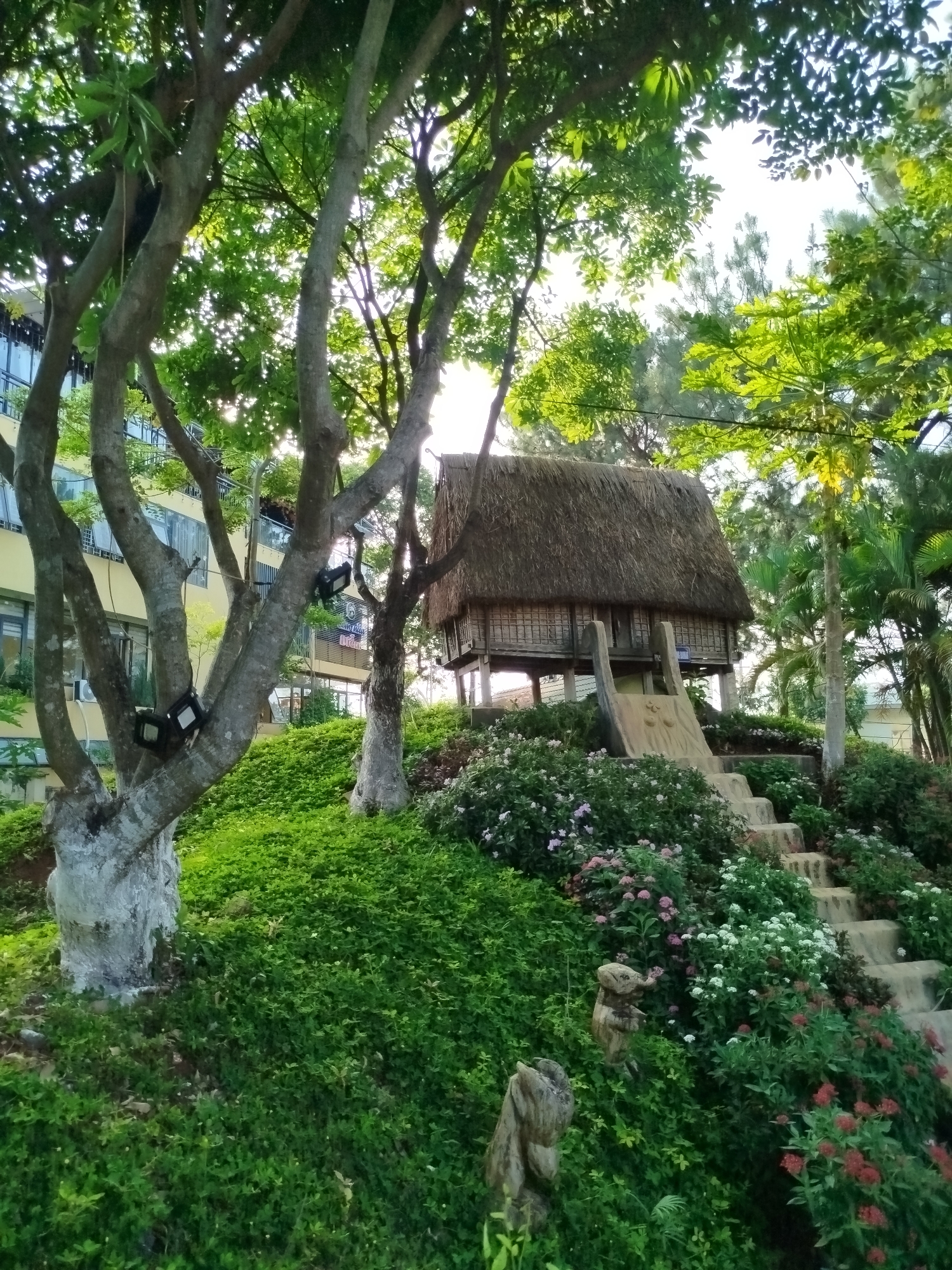 The image captures a quaint scene in Pleiku Ward, Vietnam. A traditional thatched-roof hut is perched atop a lush, green hillock, accessible via a flight of concrete steps. The hillside is adorned with flowering bushes in shades of white, pink, and red. Two weathered wooden sculptures of animals sit amongst the vegetation at the base of the hill. To the left, a large, multi-trunked tree with light grey bark stands, partially obscuring a multi-story building with yellow walls and blue-tinted windows. Two black light fixtures are affixed to the tree trunk. The sky is visible through gaps in the foliage. The overall impression is a serene blend of nature and traditional architecture within an urban setting.
