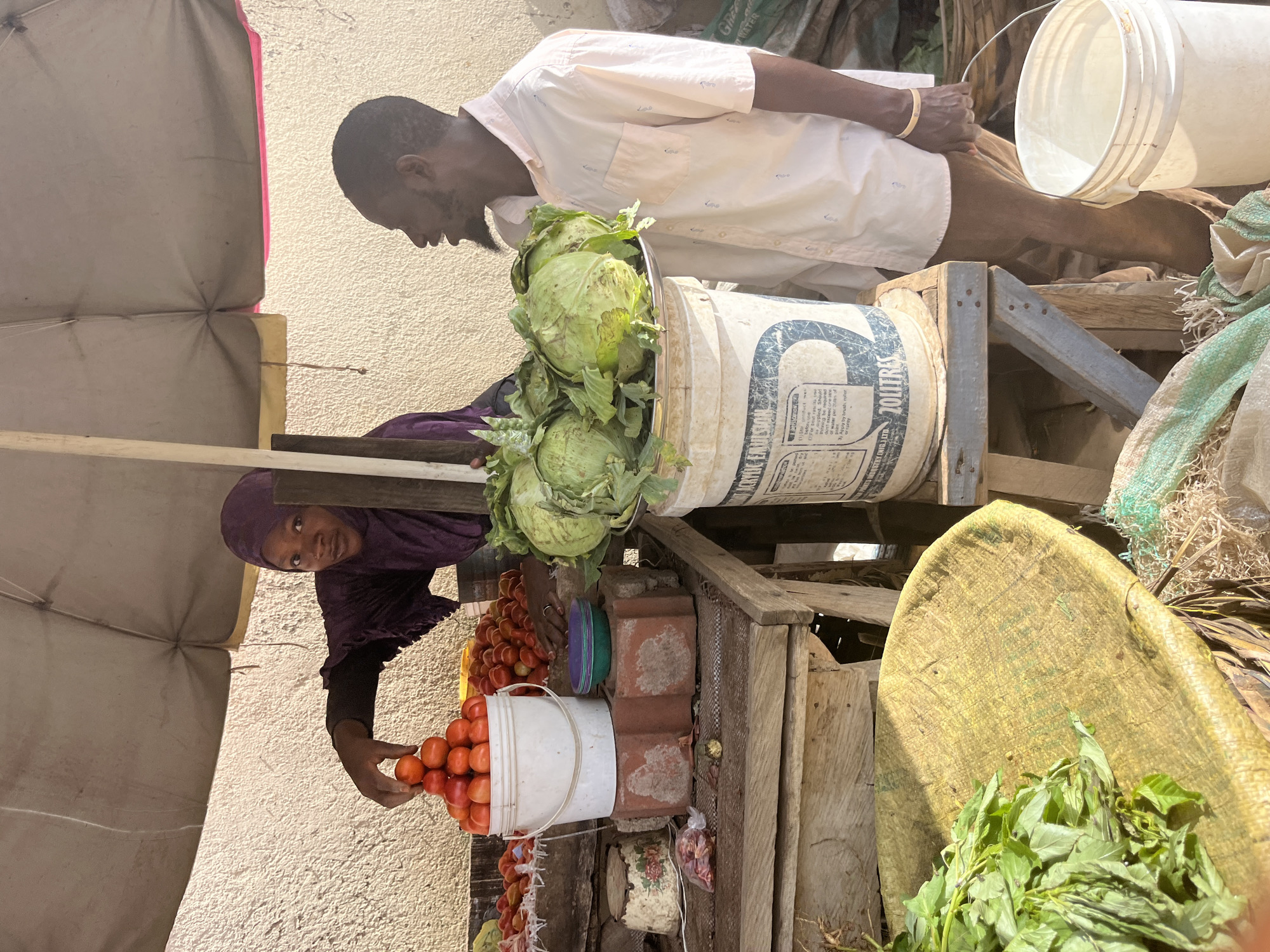 In a bustling outdoor market in Jos, Nigeria, two individuals are engaged in the trade of fresh produce. A man, wearing a light-colored short-sleeved shirt and dark trousers, leans over a display of cabbages. He appears to be interacting with a vendor, possibly a woman dressed in a dark purple hijab and matching long-sleeved top, who is attending to a large pile of red tomatoes.
The scene is set amidst temporary market stalls, suggested by the presence of a beige awning providing shade. Objects indicative of a marketplace are scattered around: several large buckets, some filled with vegetables, others empty; stacks of red bricks, perhaps used as supports or display elements; and woven sacks, one containing leafy green vegetables. The overall impression is one of vibrant commerce, with a focus on fresh produce.
Notable details include the clear sunlight, suggesting it is daytime, and the general atmosphere of a busy market environment. The vendor's focused gaze on the tomatoes hints at the ongoing transaction, while the man's posture indicates his interest in the cabbages. The visible text on one of the buckets reads "20 LITRES" and "GREEN WATER", alongside what appears to be application instructions, suggesting the buckets might have had a previous use. The scene conveys a sense of everyday life and economic activity in a Nigerian market.