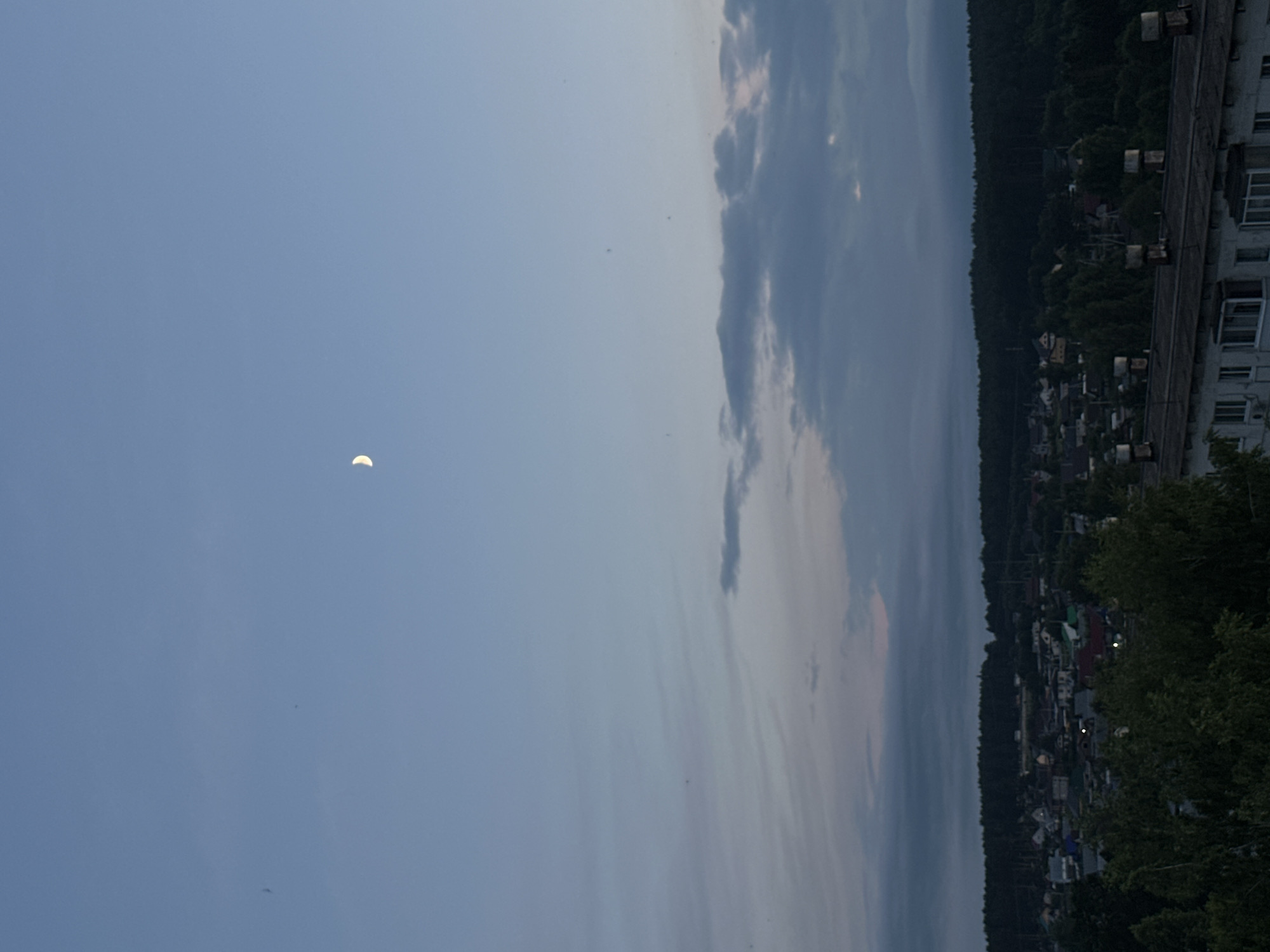 This image depicts a crescent moon in a twilight sky over a residential area in Chaikovsky, Russia. The sky is a gradient of pale blue to a darker grey, with wispy clouds present. A thin crescent moon is visible in the upper portion of the sky. Below the sky, a dense line of dark green trees forms a horizon. In front of the trees, a town or village is visible with numerous houses and buildings. Some buildings have visible rooftops and chimneys. The foreground features the edge of a building with a flat roof and multiple chimneys. The overall scene suggests a peaceful evening in a semi-urban environment.