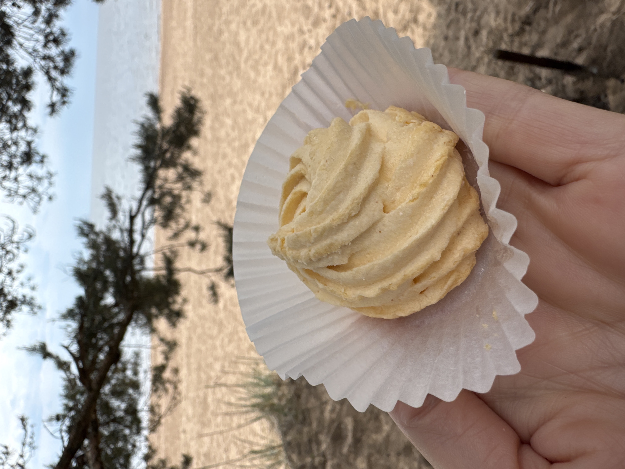 The image displays a close-up, eye-level perspective of a light-skinned hand holding a single pastry in a white, fluted paper cupcake liner. The pastry is compact, light yellow to cream in color, and features a distinct, swirled or piped texture across its surface. Small, yellowish particles are visible on the paper liner.
The background is significantly out of focus, depicting an outdoor natural environment. A wide expanse of light brown sand occupies the mid-ground, with sparse green vegetation visible on the left side. Beyond the sand, a body of water, appearing light greyish-blue, extends towards the horizon under a cloudy or overcast sky. Dark, out-of-focus branches of coniferous trees, consistent with pine, are visible in the upper-left and upper-right portions of the frame, partially obscuring the sky and distant water. The scene is consistent with a beach or large lake shore environment and is located in the city of Zelenaya Roshcha, Russia. No other individuals or specific actions are discernible.