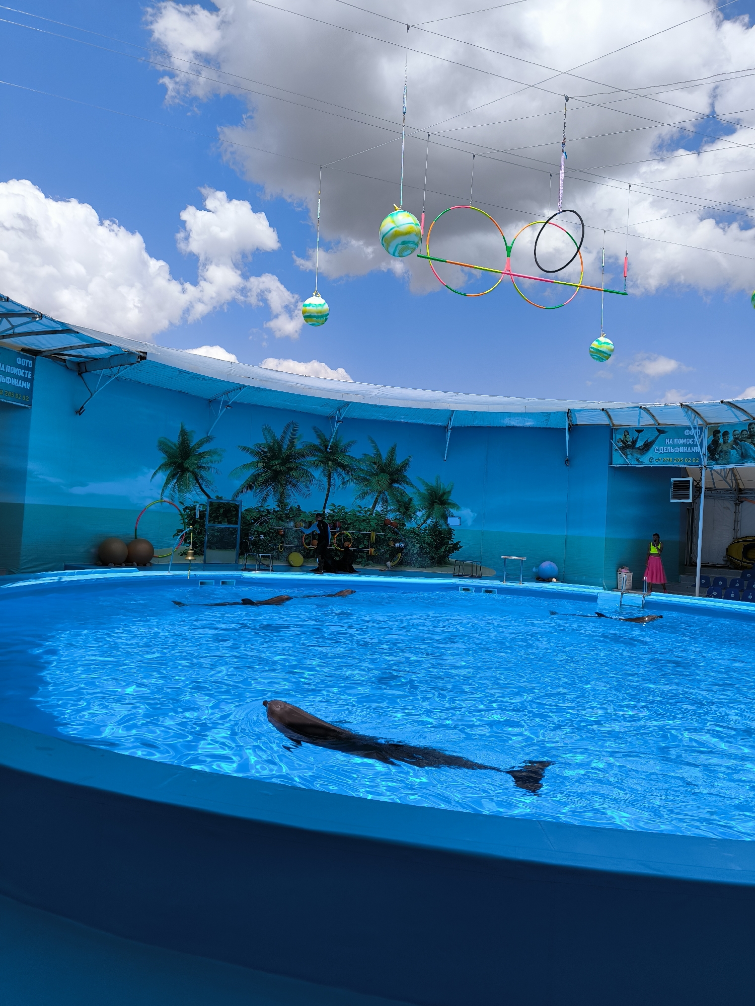 An outdoor dolphinarium is depicted under a bright, partly cloudy blue sky. The circular pool, filled with vibrant blue water, is the central focus, with several dolphins swimming within it. The pool is bordered by a pale blue structure, and a backdrop featuring a painted mural of palm trees and a beach scene. Suspended above the pool are several colorful hoops and striped balls, likely props for a dolphin show. On the right side of the pool, a person in a yellow vest and pink skirt stands near a ladder and a trash can. In the background, a blue tarp covers part of the structure, and a sign with text and images is visible on the back wall. Another person, dressed in dark clothing, stands near some equipment on the left side of the pool.