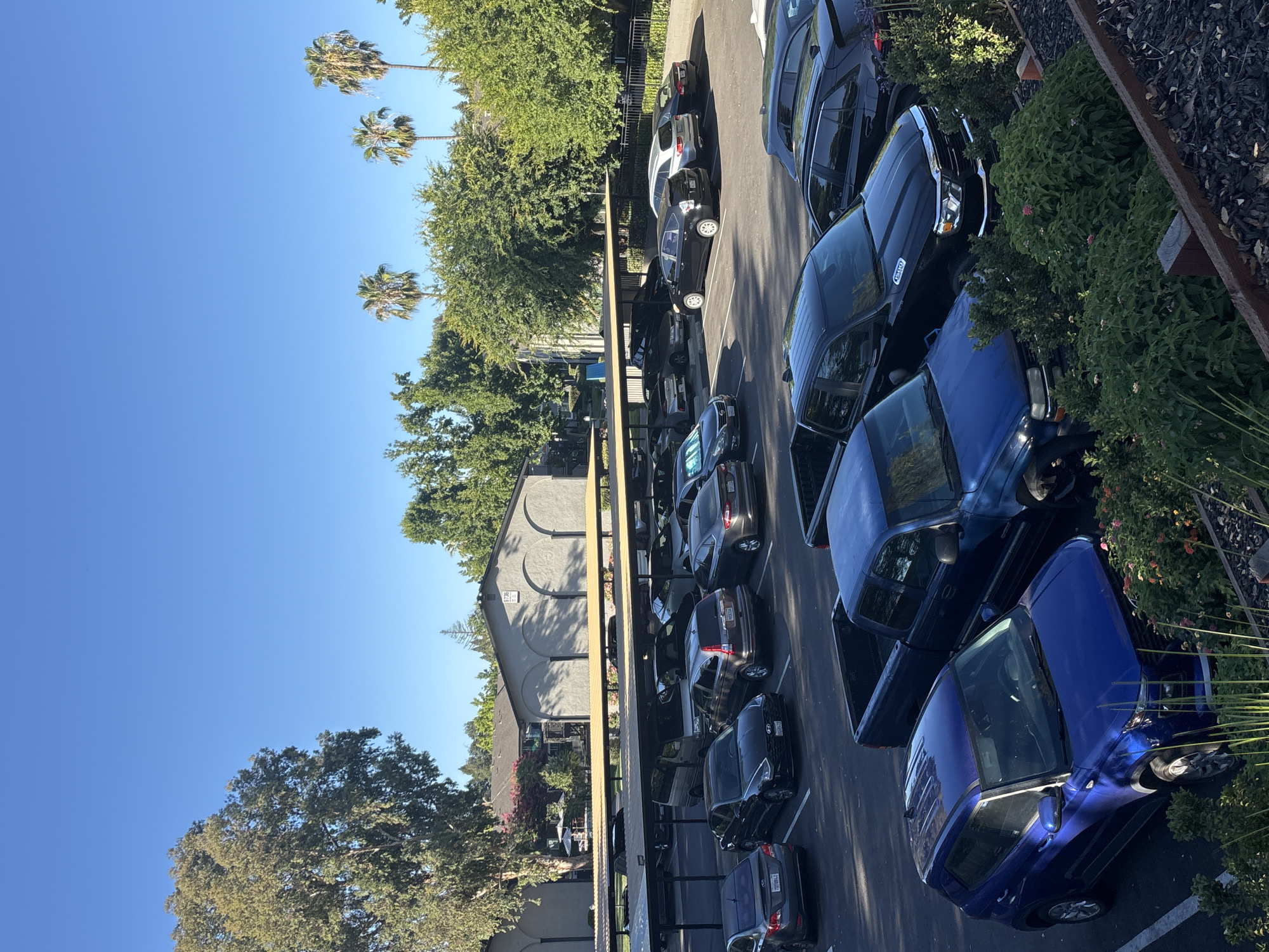 A high-angle outdoor full shot captures a parking lot with a clear blue sky and a row of palm trees visible in the background. The parking lot is filled with several cars and trucks, some parked under a covered structure and others in the open. A blue pickup truck is parked in the foreground to the left of a dark colored pickup truck. Behind these are several cars parked in rows. A tan building with arched windows is visible behind the covered parking area. The environment appears to be residential or commercial, with trees and foliage surrounding the area. The scene is well-lit, suggesting it is daytime, likely morning given the angle of the sun casting shadows. There are no people visible in the image. The city of Fair Oaks, United States, is identified as the location.