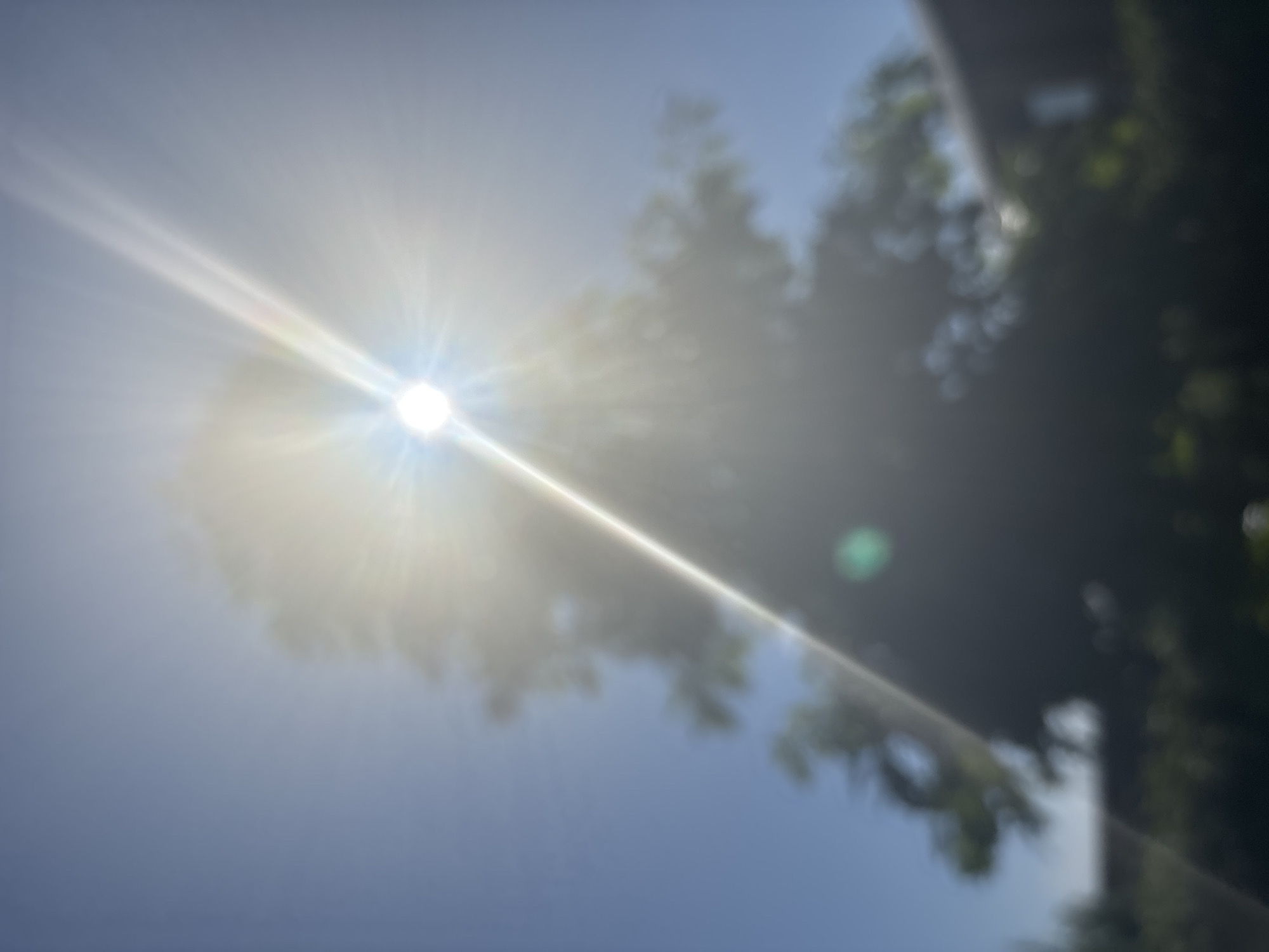 A bright sun shines in a clear blue sky, with sunbeams radiating outwards. A silhouette of a tree is visible against the sun, its leaves blurred by the bright light. In the foreground, a dark, blurry area suggests a building or fence. The overall image is out of focus, creating a hazy and ethereal effect, typical of a sunny day in Zvenigorod, Russia.