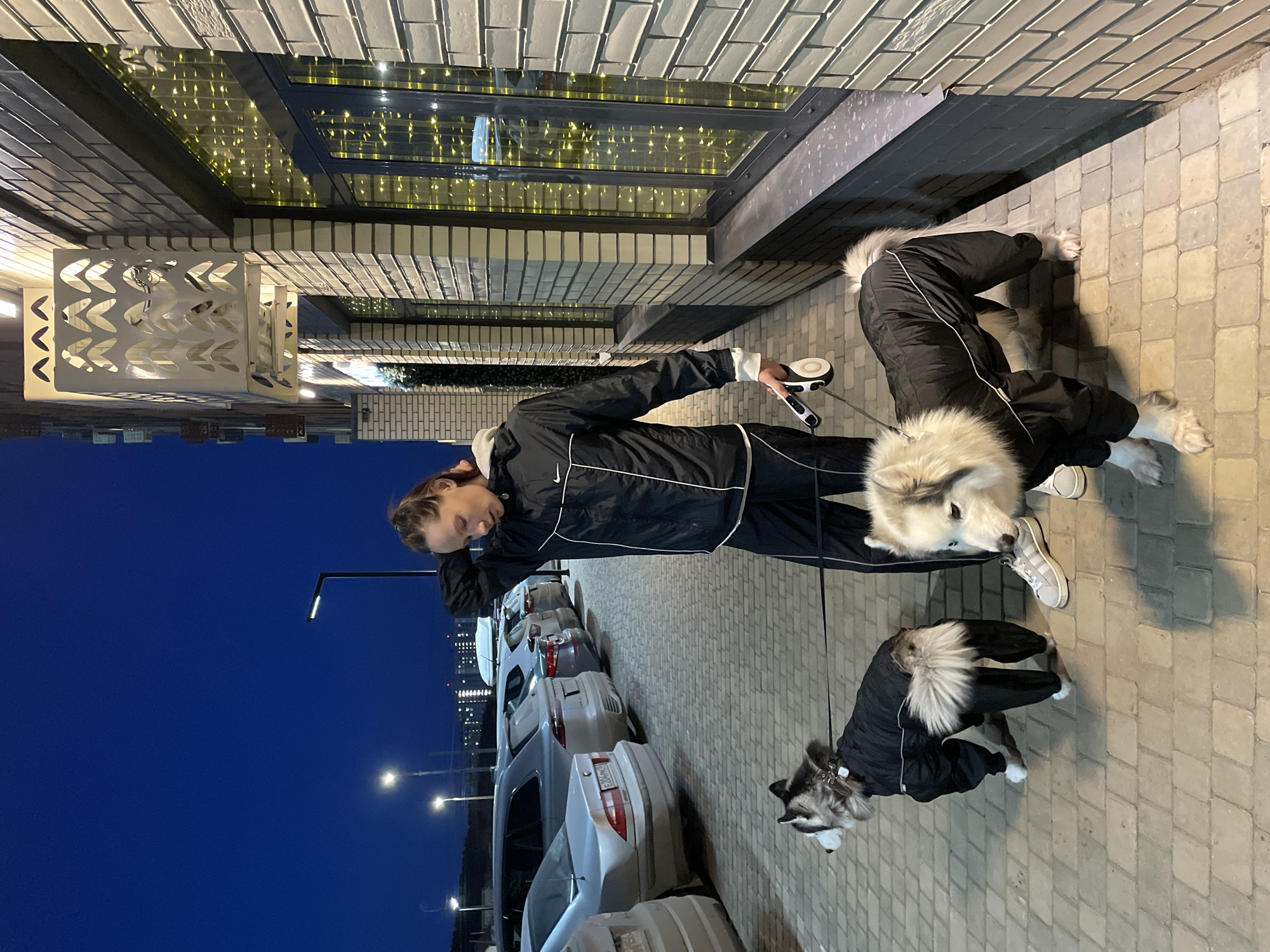 A woman in a black Nike tracksuit is walking two dogs in black and white winter coats on leashes. She is holding a retractable leash in her right hand and touching her face with her left. The dogs are a white husky and a black and white husky. They are on a sidewalk paved with square stones. To the left of the sidewalk is a row of parked cars, and beyond that is a street with streetlights. In the distance, there is a building with lights. Above the woman and the dogs is a building with brick walls and a glass awning with lights inside. The location is Izhevsk, Russia.