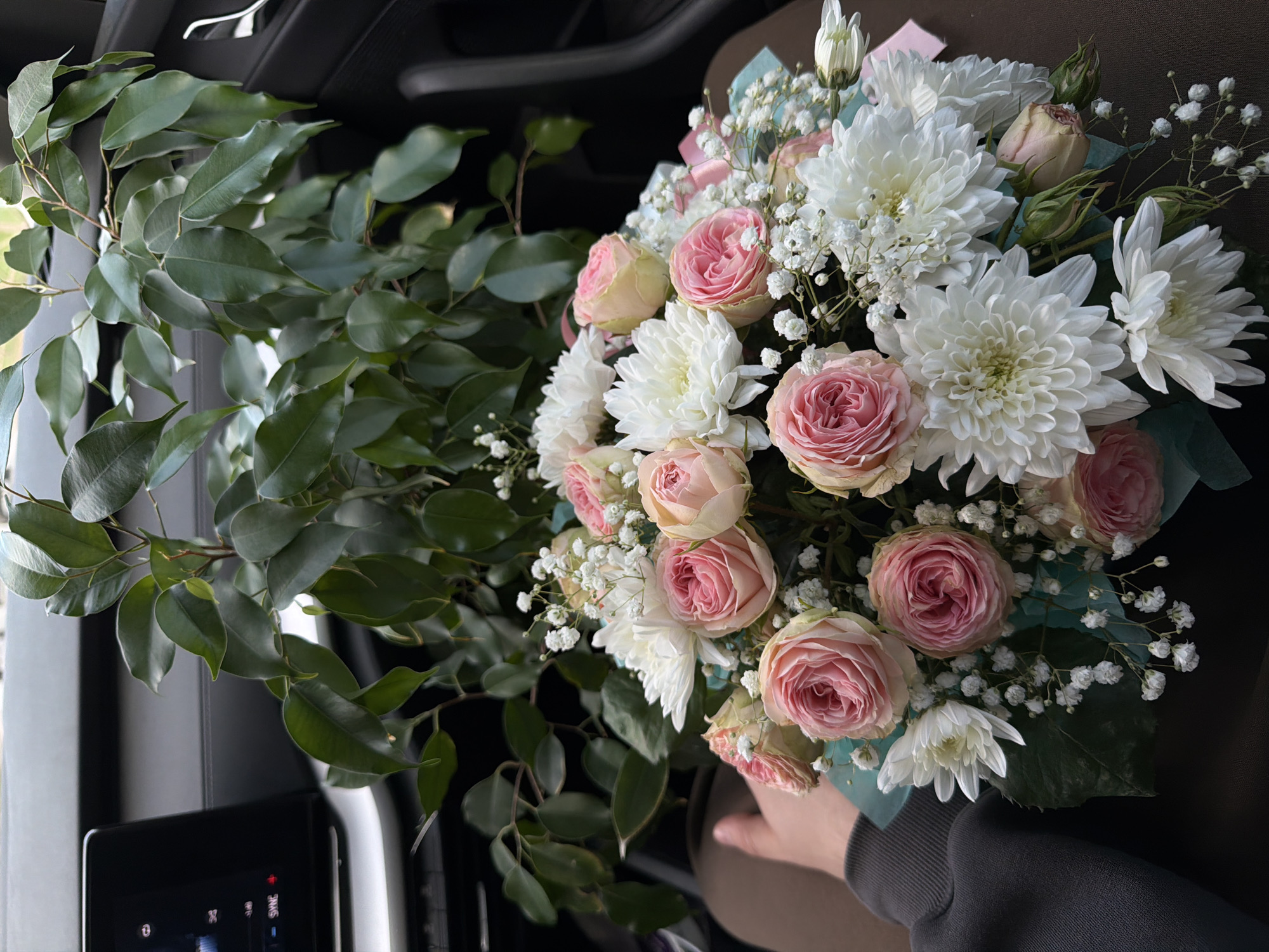 The image shows a vibrant bouquet of flowers held by a person inside a car in Chaikovsky, Russia. The main subject is the bouquet, which consists of soft pink garden roses, fluffy white chrysanthemums, and delicate white baby's breath, complemented by green foliage. The flowers are wrapped in a light blue or teal paper, with hints of a pink ribbon.
A person's hand, wearing a dark grey sleeve, is visible in the lower-right, gently holding the bouquet. To the left, a large branch of glossy, dark green leaves, possibly from a ficus plant, extends across the frame, partially obscuring the car's interior.
The setting is the interior of a modern vehicle, with parts of the dark dashboard, console, and seating visible in the background. A digital display screen in the lower-left corner shows text including "SYNC" and numerical values like "0 %" and "0". The activity appears to be the transportation of the flowers, possibly after being received as a gift or purchased. The scene is well-lit, suggesting daytime.