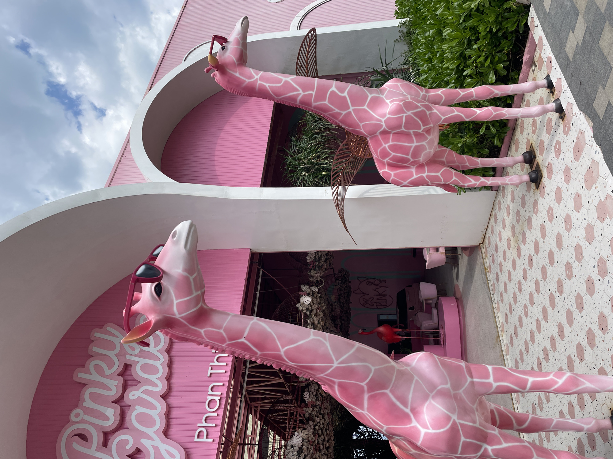 Two pink giraffe statues, one taller than the other, stand outside a building with "Pinky Garden Phan Thiet" written above the entrance. The statues are positioned in front of the building, with the taller giraffe on the left and the shorter one on the right. Both giraffes are wearing sunglasses. The building is painted pink and has arched entrances. The ground in front of the building is covered in a patterned tile. There is greenery surrounding the statues and the building. The sky above is cloudy.