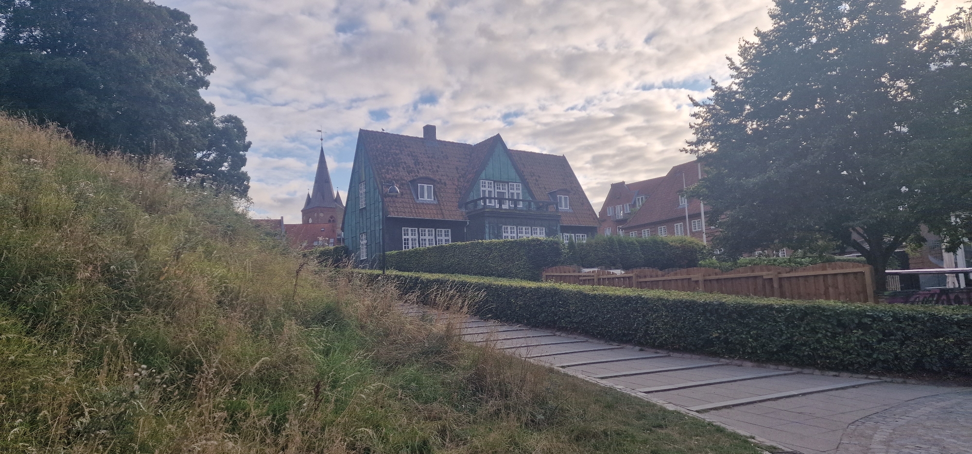 The image depicts a street in Kolding, Denmark, with a focus on the architecture and natural surroundings. In the foreground, a steeply sloping hill covered in tall, dry grass and wildflowers leads the eye upward. To the right, a paved pathway with distinct step-like segments winds its way along the contour of the hill, bordered by a meticulously maintained hedge.

Behind the hedge, a large, dark green house with a red tile roof is prominently featured. This house has numerous white-paned windows and a balcony. To the left of this house, the pointed spire of a red brick church is visible, indicating the presence of a historical religious building within the vicinity. Further to the right, more red-tiled roofs of residential buildings are visible, suggesting a densely populated area.

The background is dominated by a cloudy sky with patches of sunlight breaking through, creating a diffused lighting effect. A large, mature tree with dark green foliage stands to the right of the frame, partially obscuring the view of the buildings behind it. The overall impression is of a well-kept urban environment with a blend of historical and modern elements, set against a backdrop of lush greenery and an overcast sky. There are no people visible in the image.