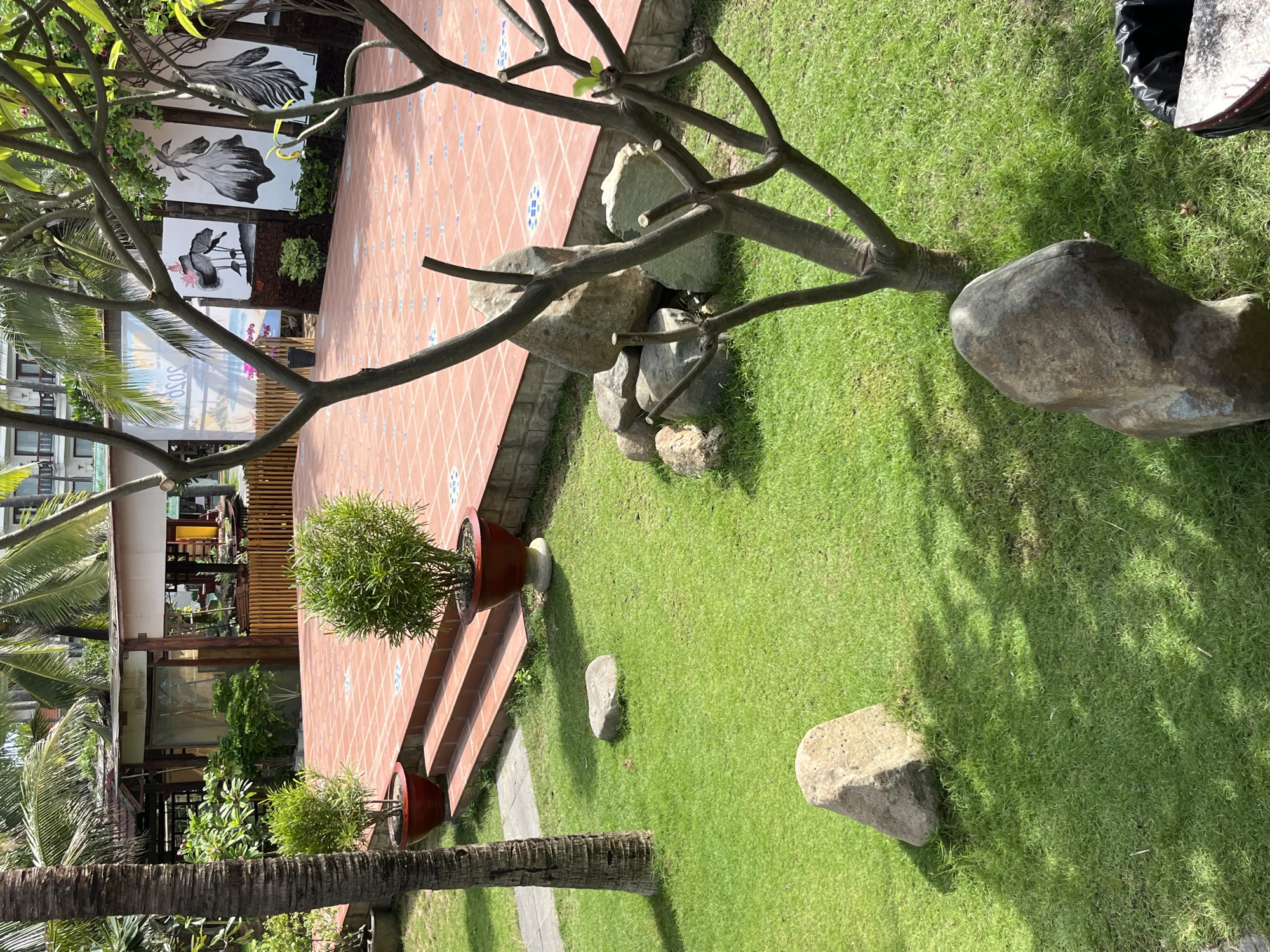 The image depicts an outdoor area with a tiled patio and a grassy lawn, likely part of a resort or public space in Mũi Né, Vietnam, characterized by tropical vegetation like palm trees. In the foreground, a pruned tree with bare branches stands on the lawn, casting shadows. Several rocks are scattered across the grass, with one larger, irregularly shaped rock in the lower right corner near a black trash bin. In the mid-ground, a set of concrete steps leads up to the tiled patio, which is decorated with blue patterned tiles. Two potted green plants are positioned on the lawn near the steps. The background reveals a building with a sloped roof and wooden accents, along with several large artworks displayed on white canvases. One artwork features stylized depictions of lotus flowers and birds, while another shows abstract feathered or floral forms. The overall atmosphere suggests a tranquil, well-maintained outdoor setting suitable for relaxation.