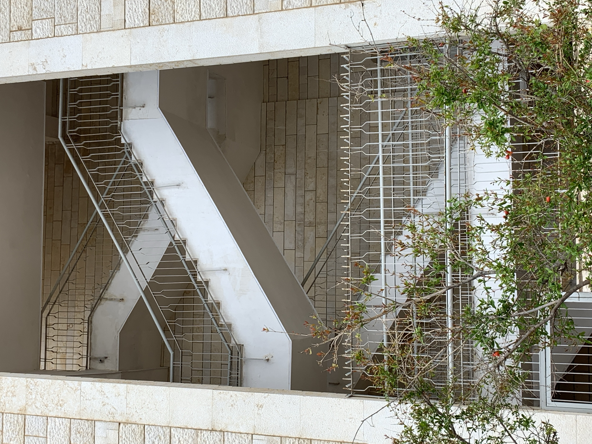 The image shows an exterior staircase in a building, possibly located in Tel-Aviv, Israel, based on the architectural style commonly found in the city. The staircase has white walls and metal railings with horizontal bars. The building has a light-colored, textured facade composed of rectangular stones. A tree with green leaves and some reddish elements is partially obstructing the view of the right side of the staircase and the window behind. The staircase appears to be an emergency exit or service staircase located on the exterior of the building.